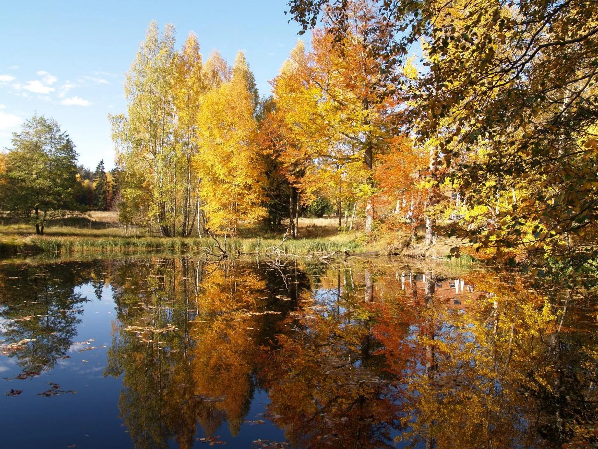 Natural landscape in Fischer