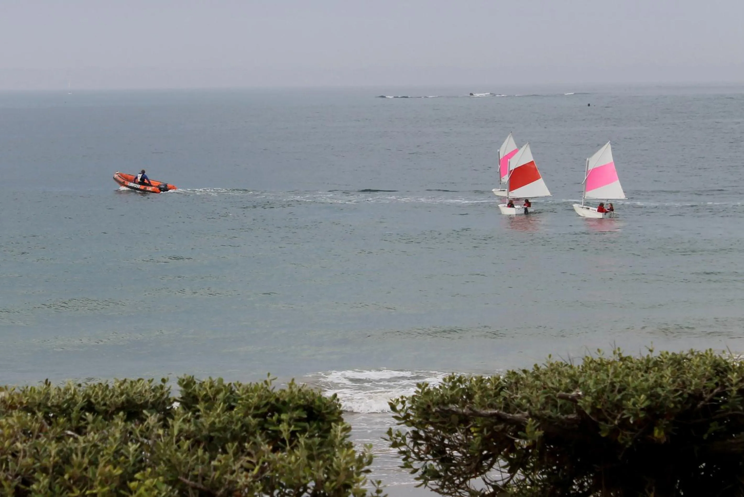 Windsurfing in Logis Hôtel & Restaurant LES MOUETTES - Larmor Plage, Proche de LORIENT