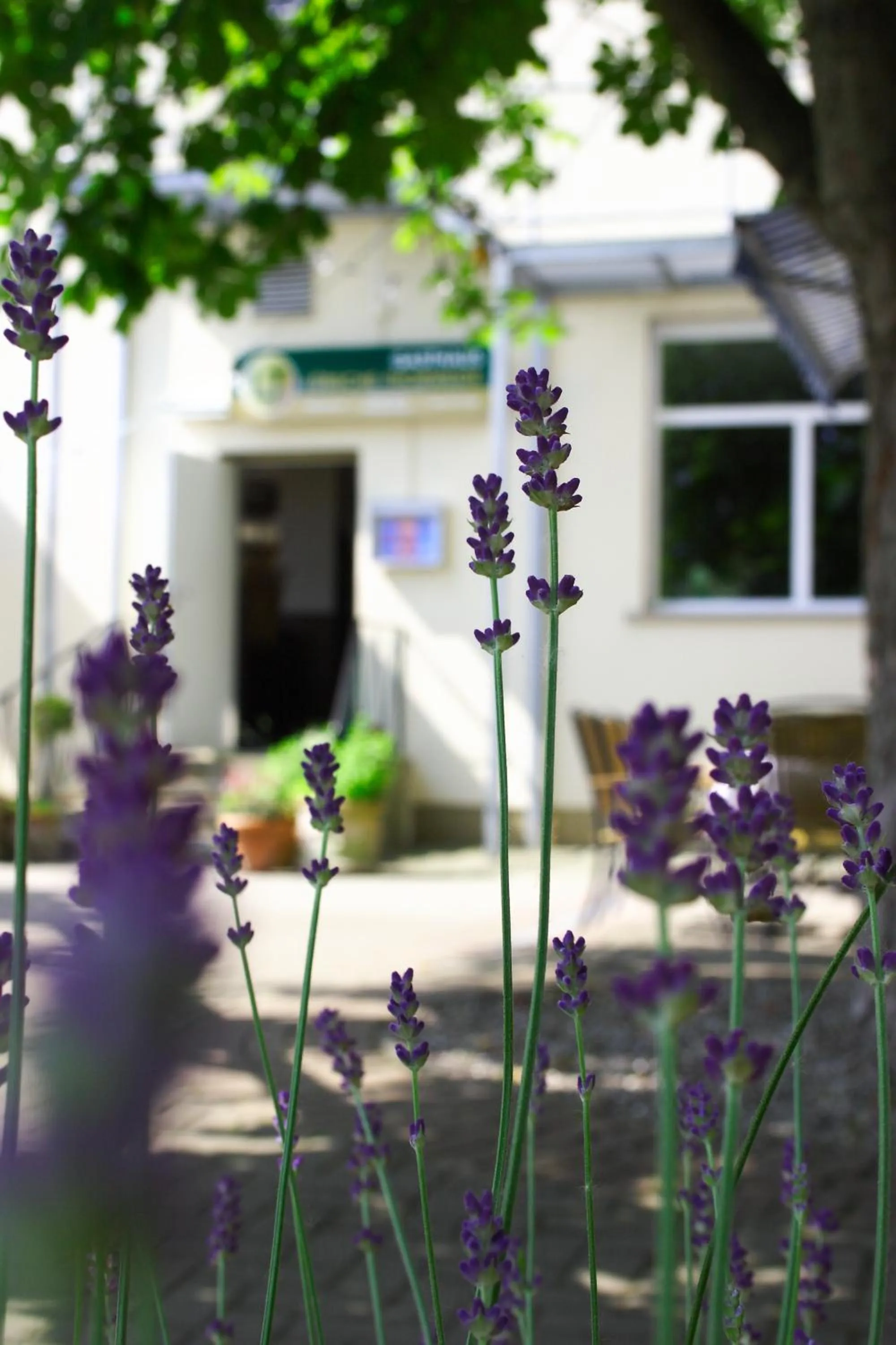 Garden in Lübsche Thorweide