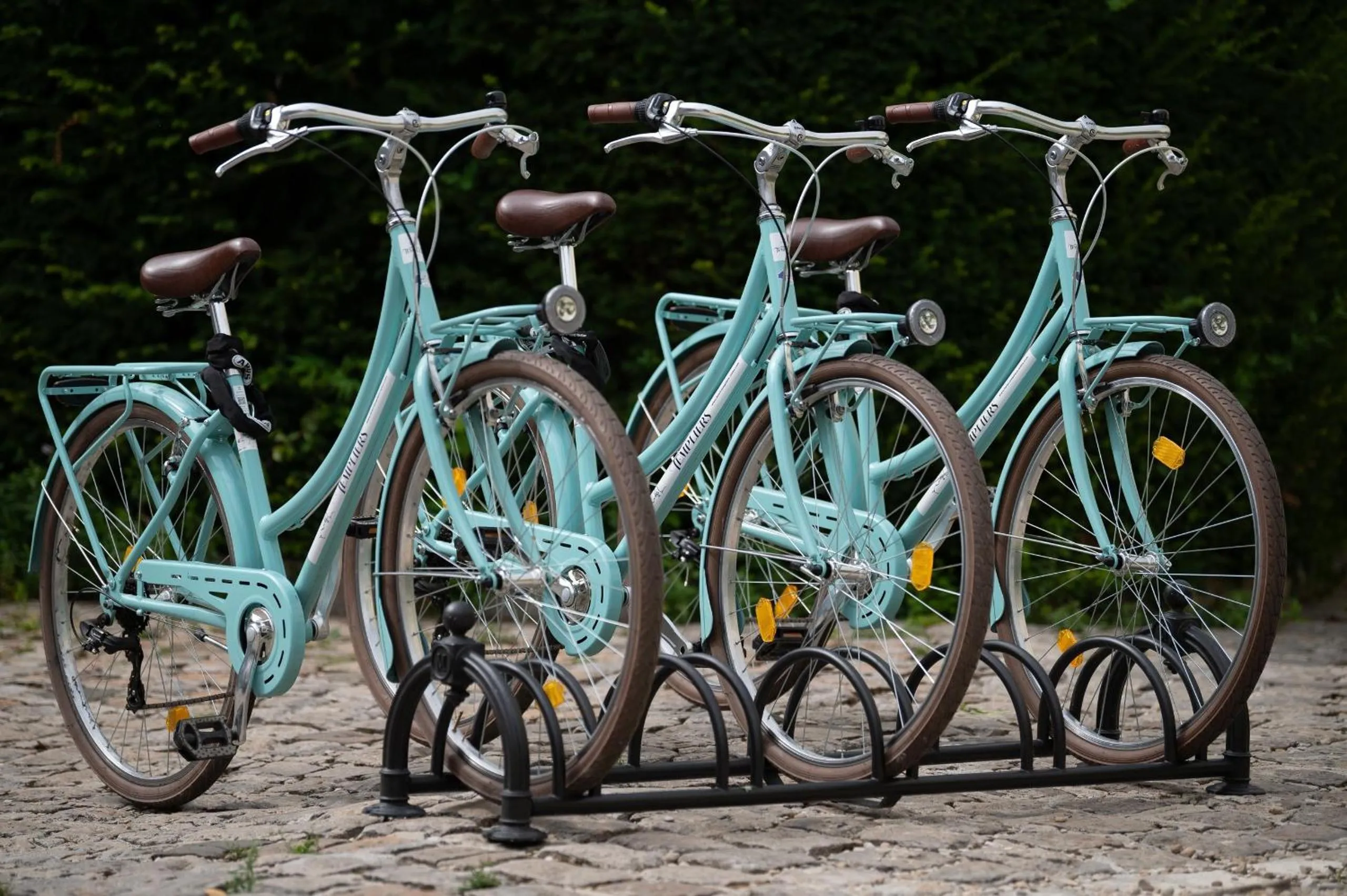 Activities in Grand Hôtel Des Templiers, Piscine & Spa