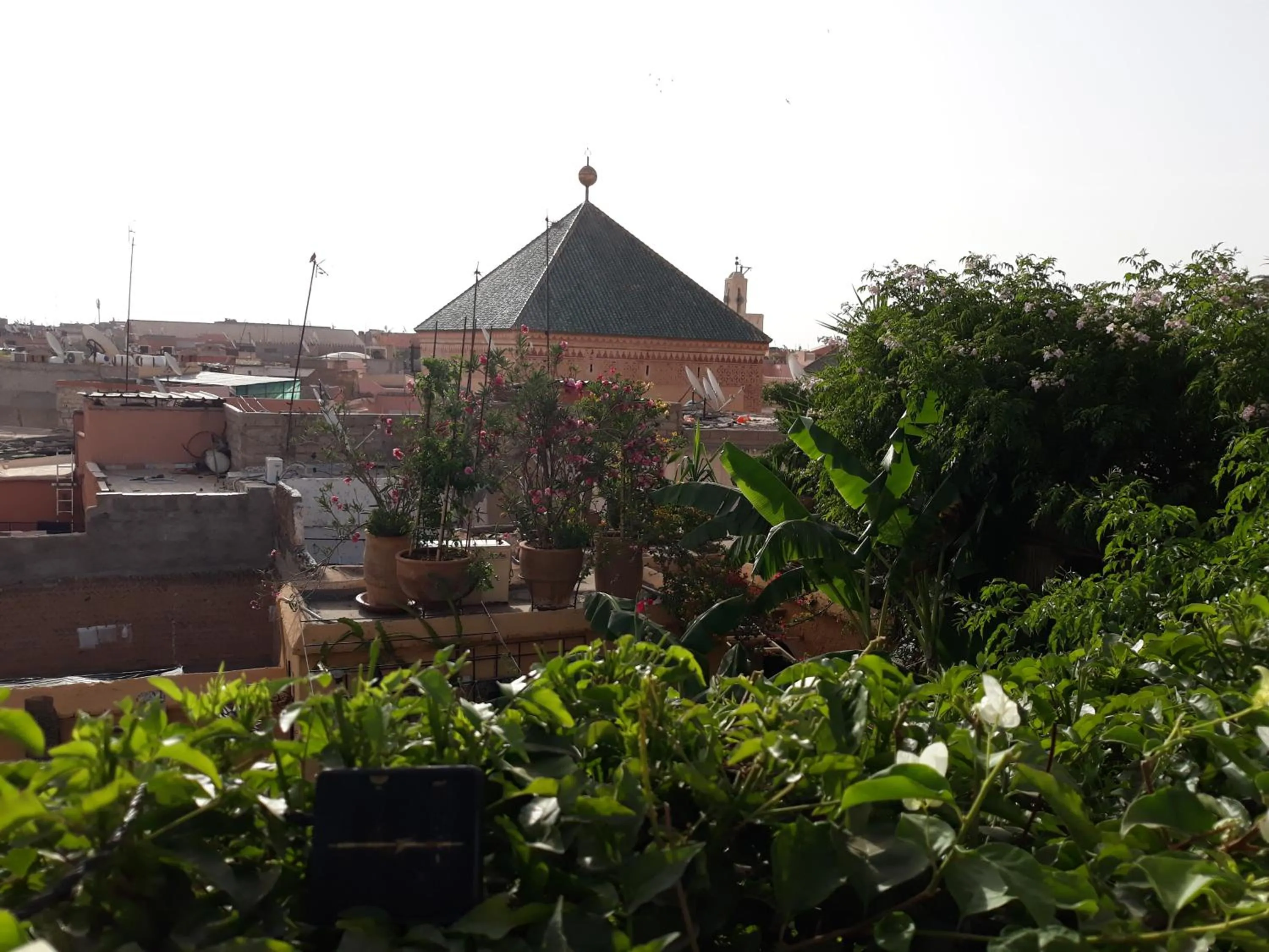 Balcony/Terrace in Riad Dar Oulhoum