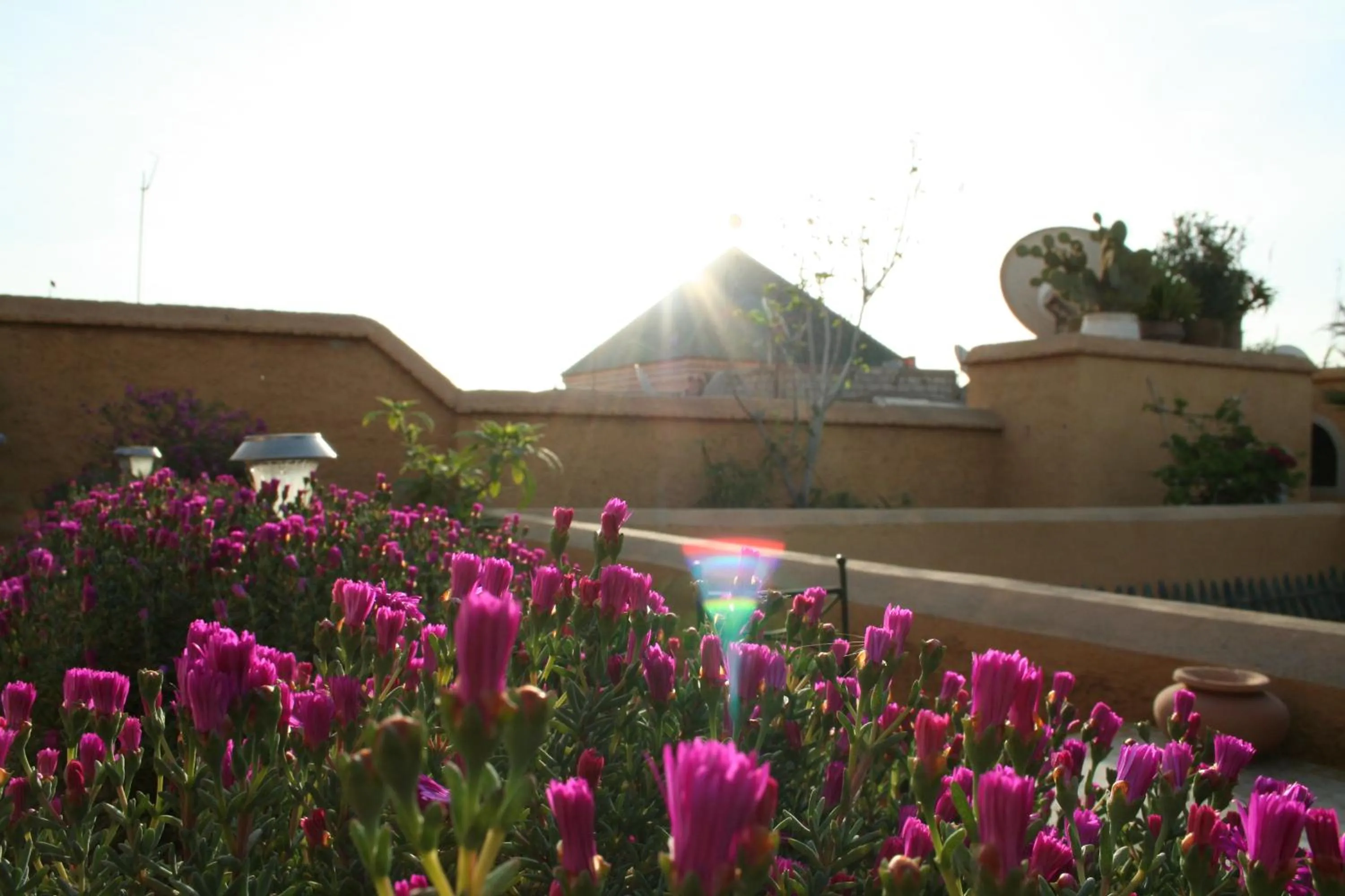 Balcony/Terrace in Riad Dar Oulhoum