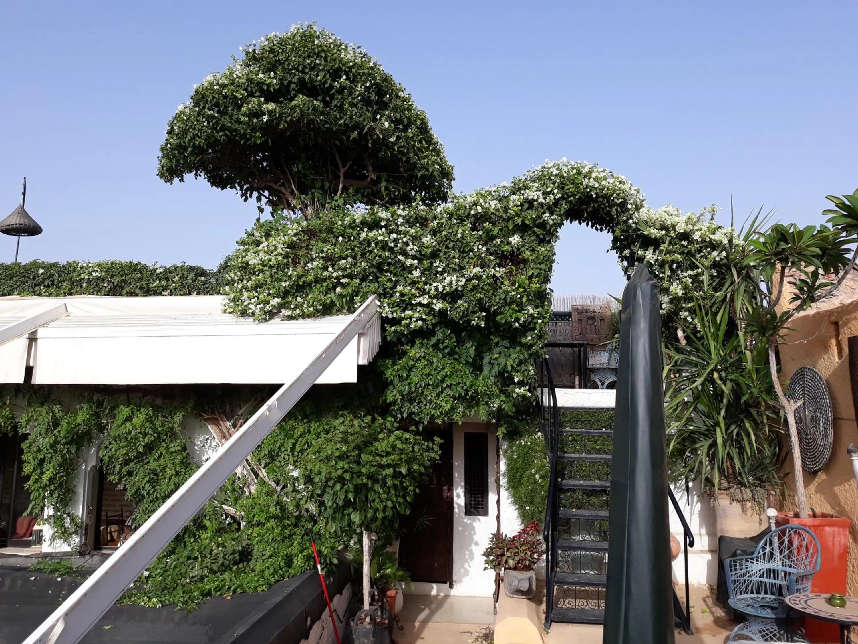 Balcony/Terrace in Riad Dar Oulhoum