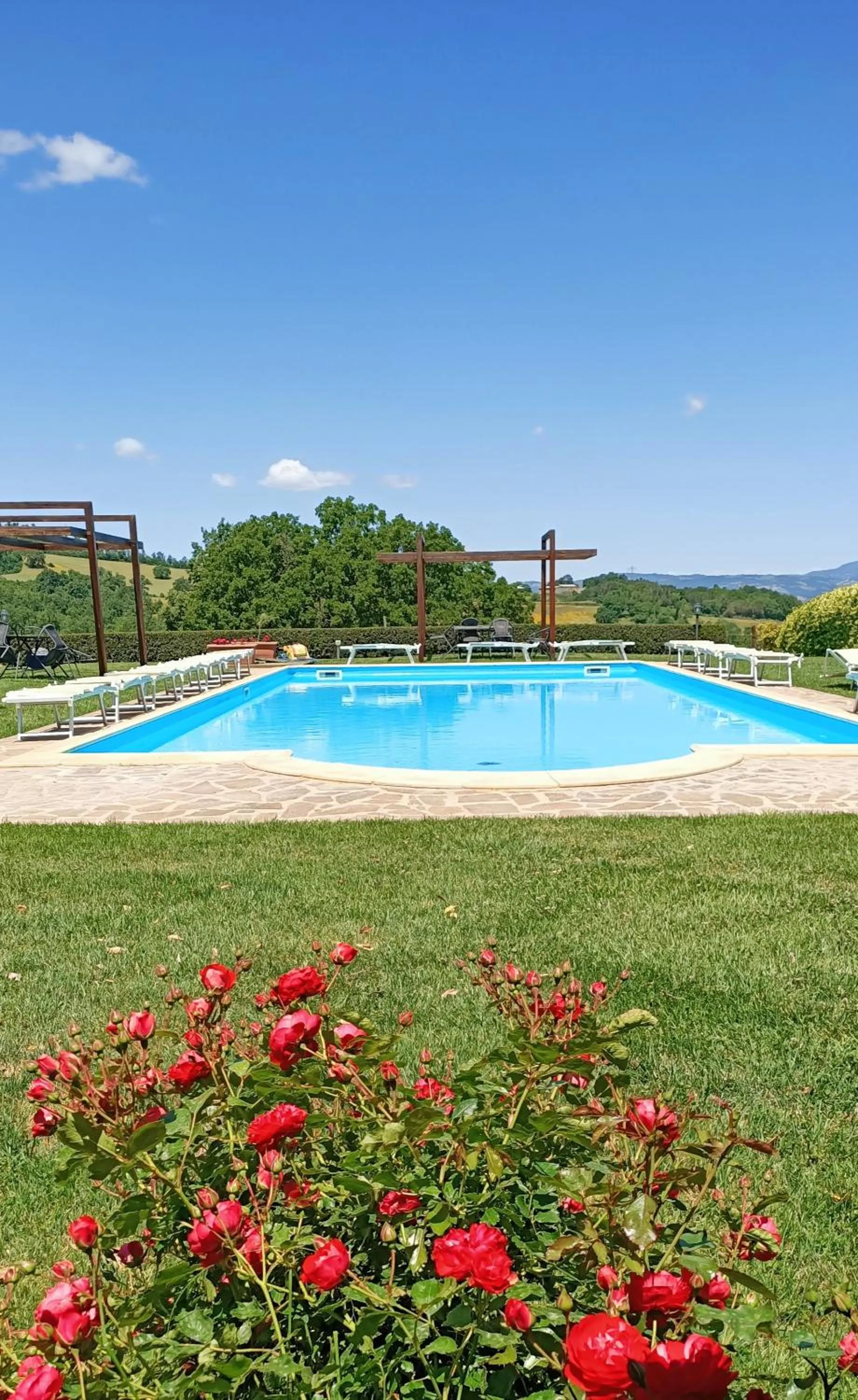 Swimming pool in Il Poggio di Teo