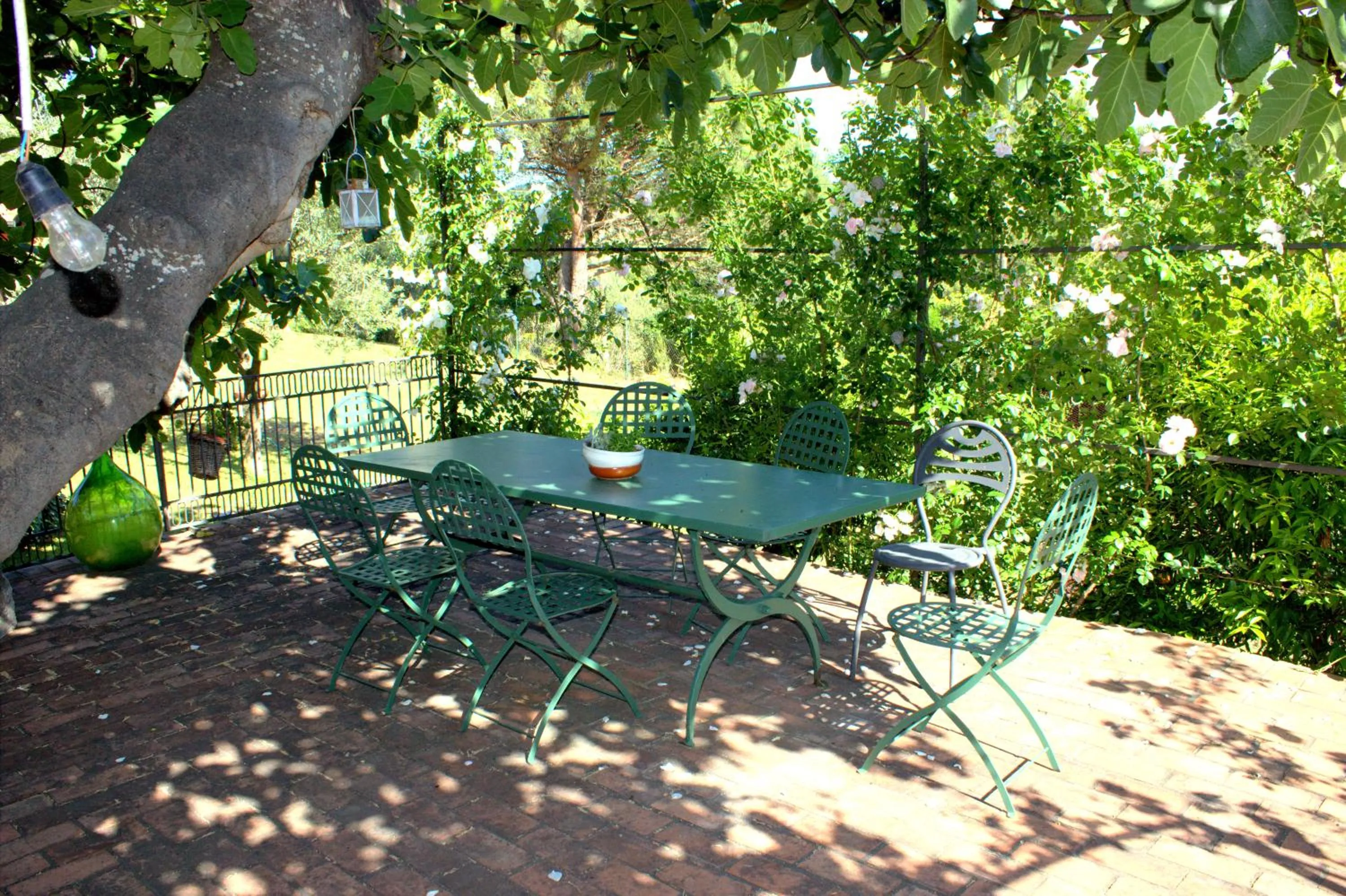 Garden view in Il Poggio di Teo