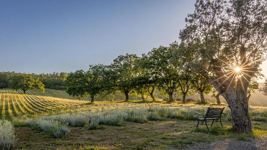 Garden view in Il Poggio di Teo