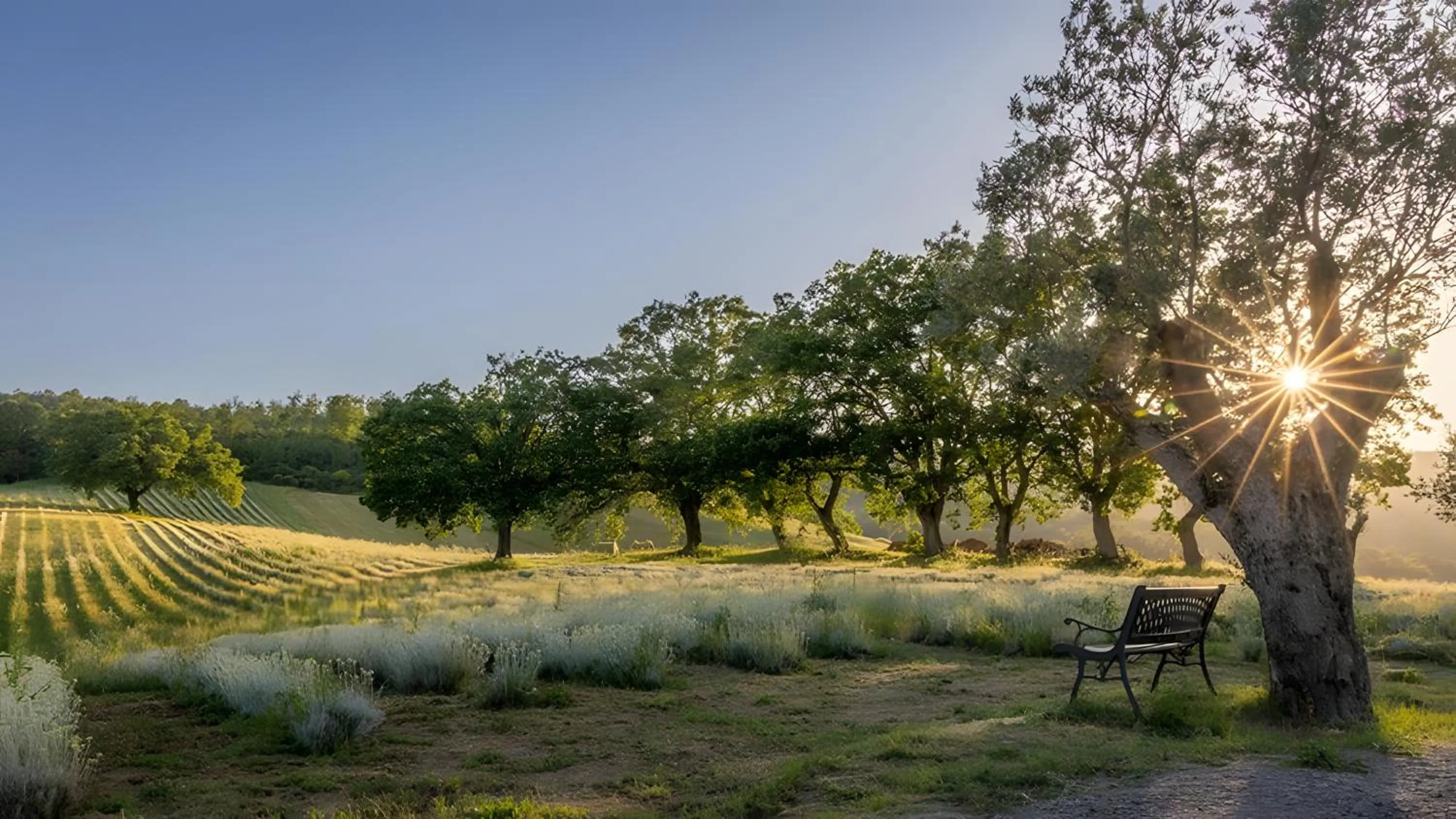 Natural landscape in Il Poggio di Teo