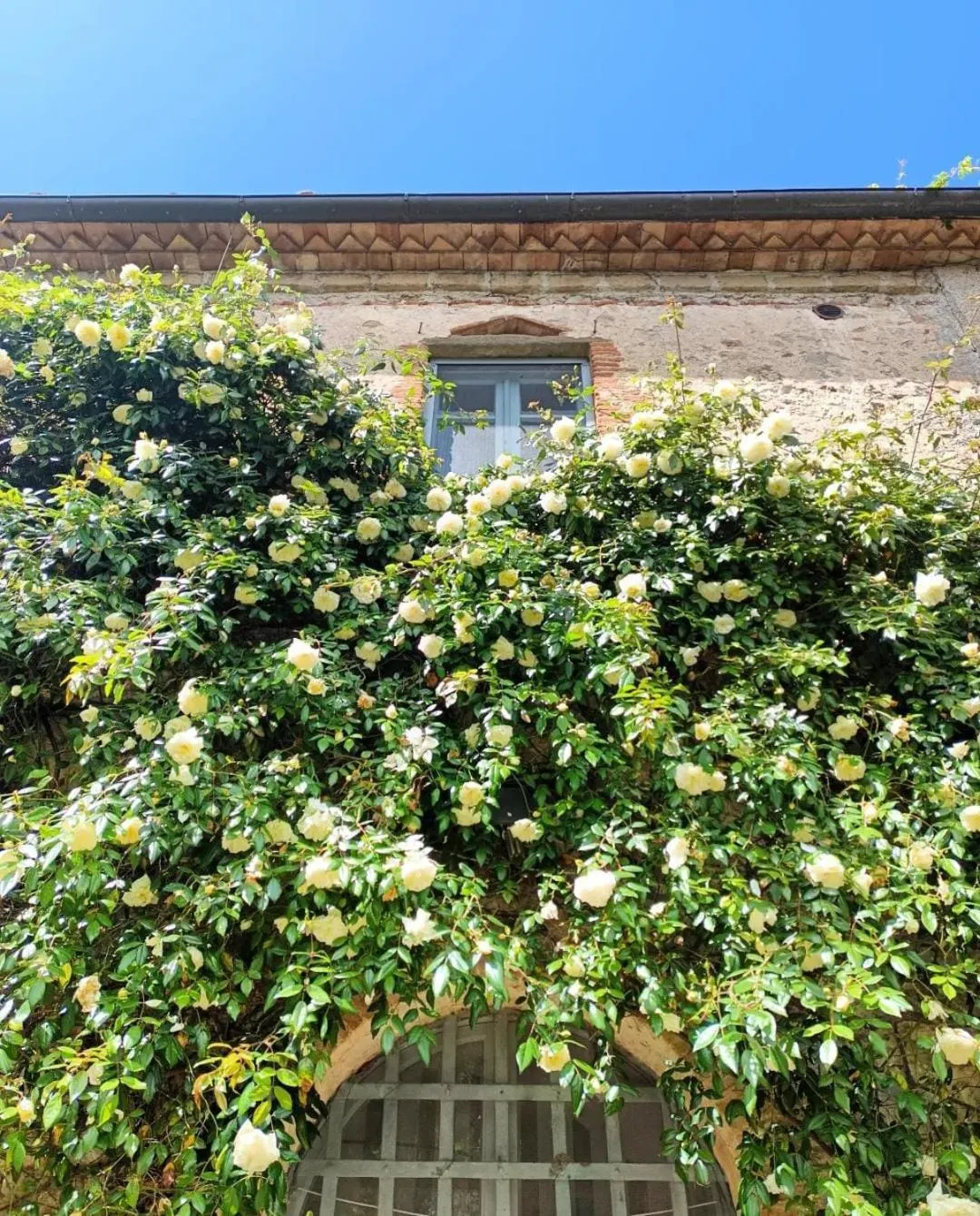 Property building in Il Poggio di Teo