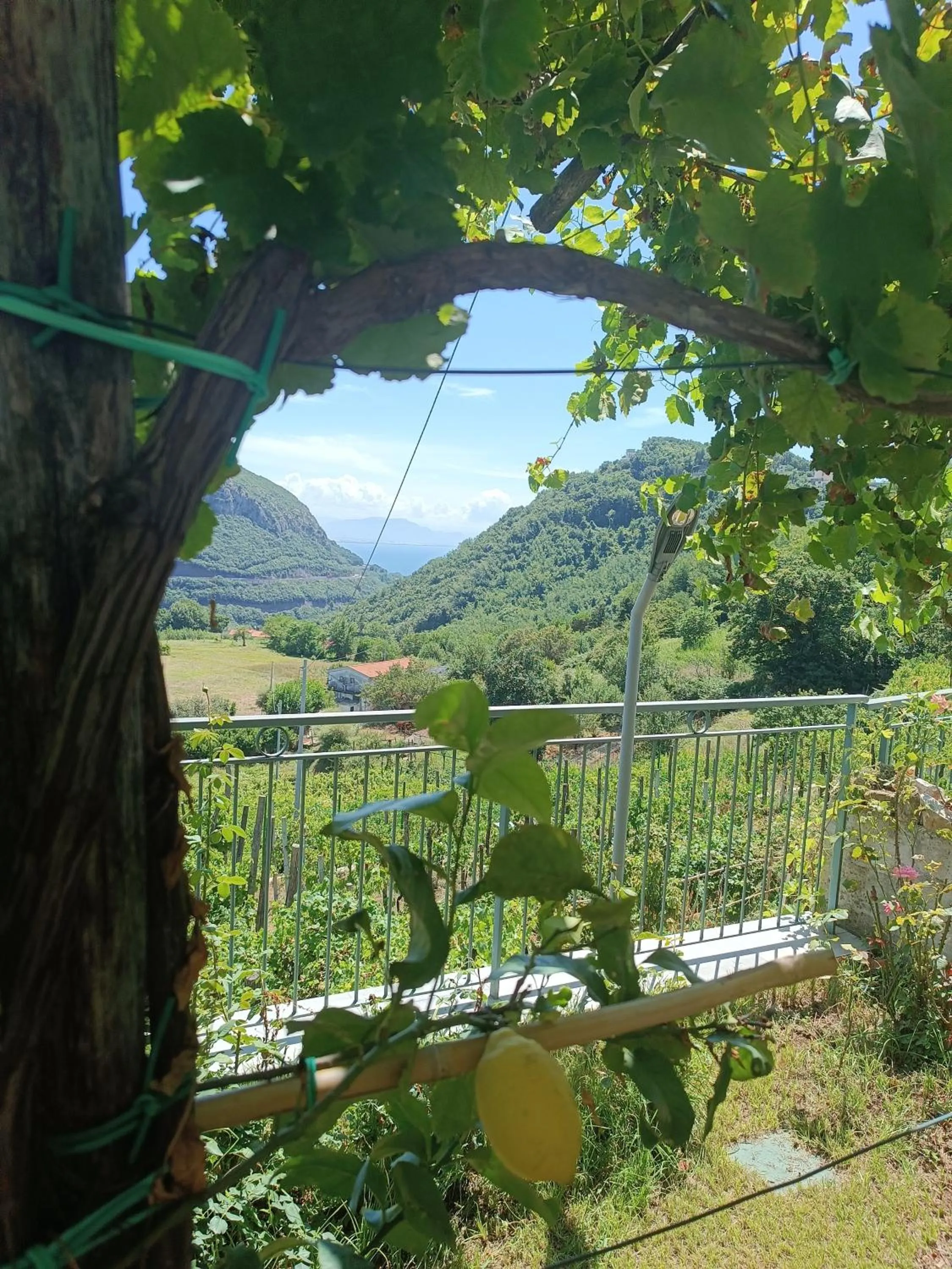 Garden in La Roccia Incantata Amalfi Coast