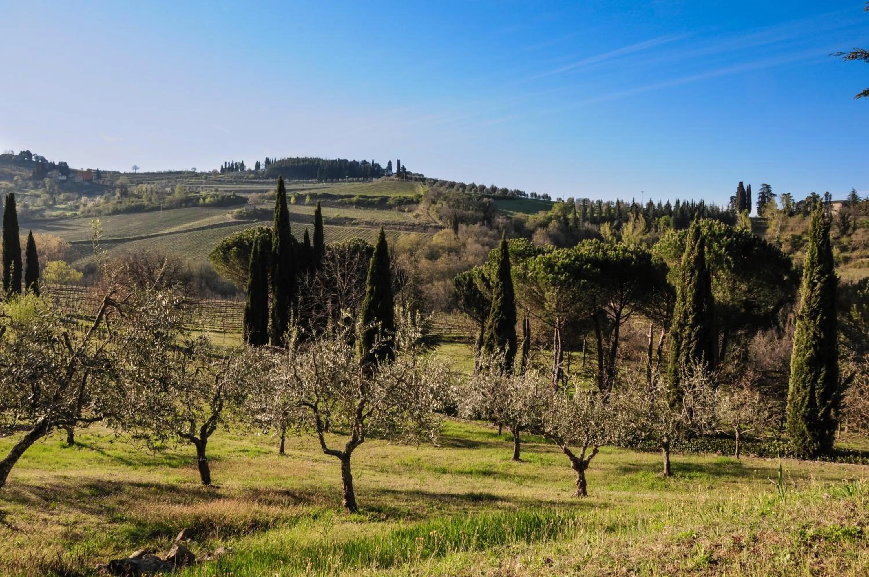 Natural landscape in B&B Fagiolari