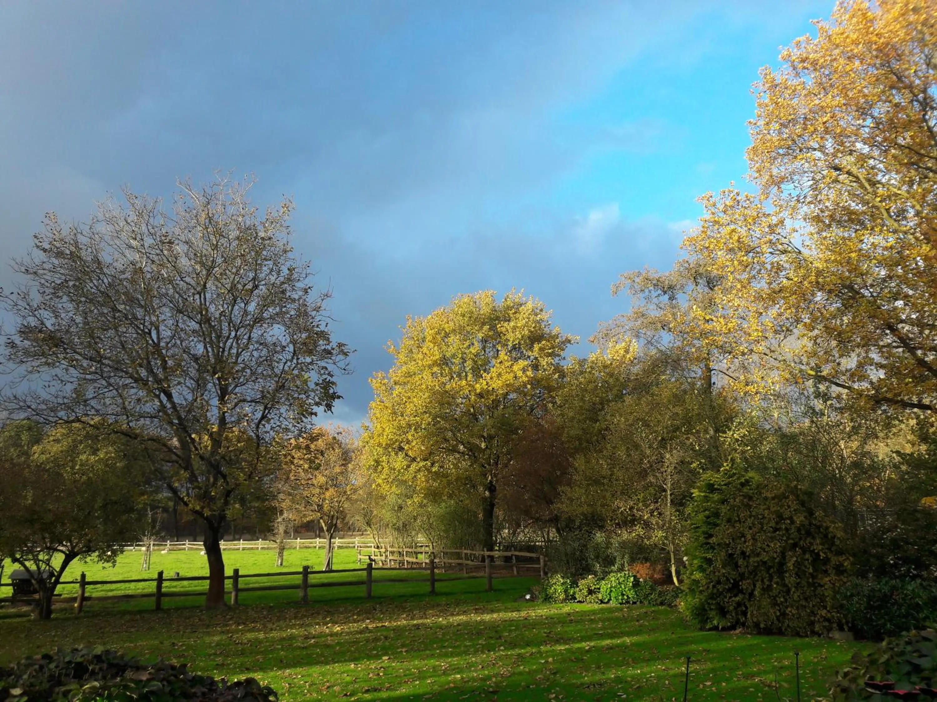 Garden view in Het geheim van Merselo