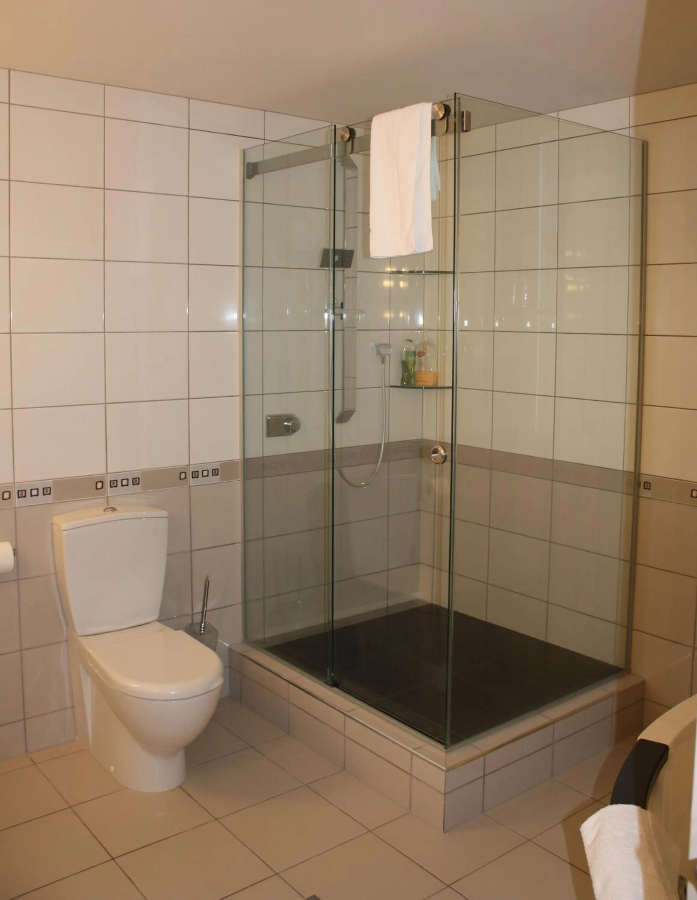 Shower in Top Of The Town Bed & Breakfast