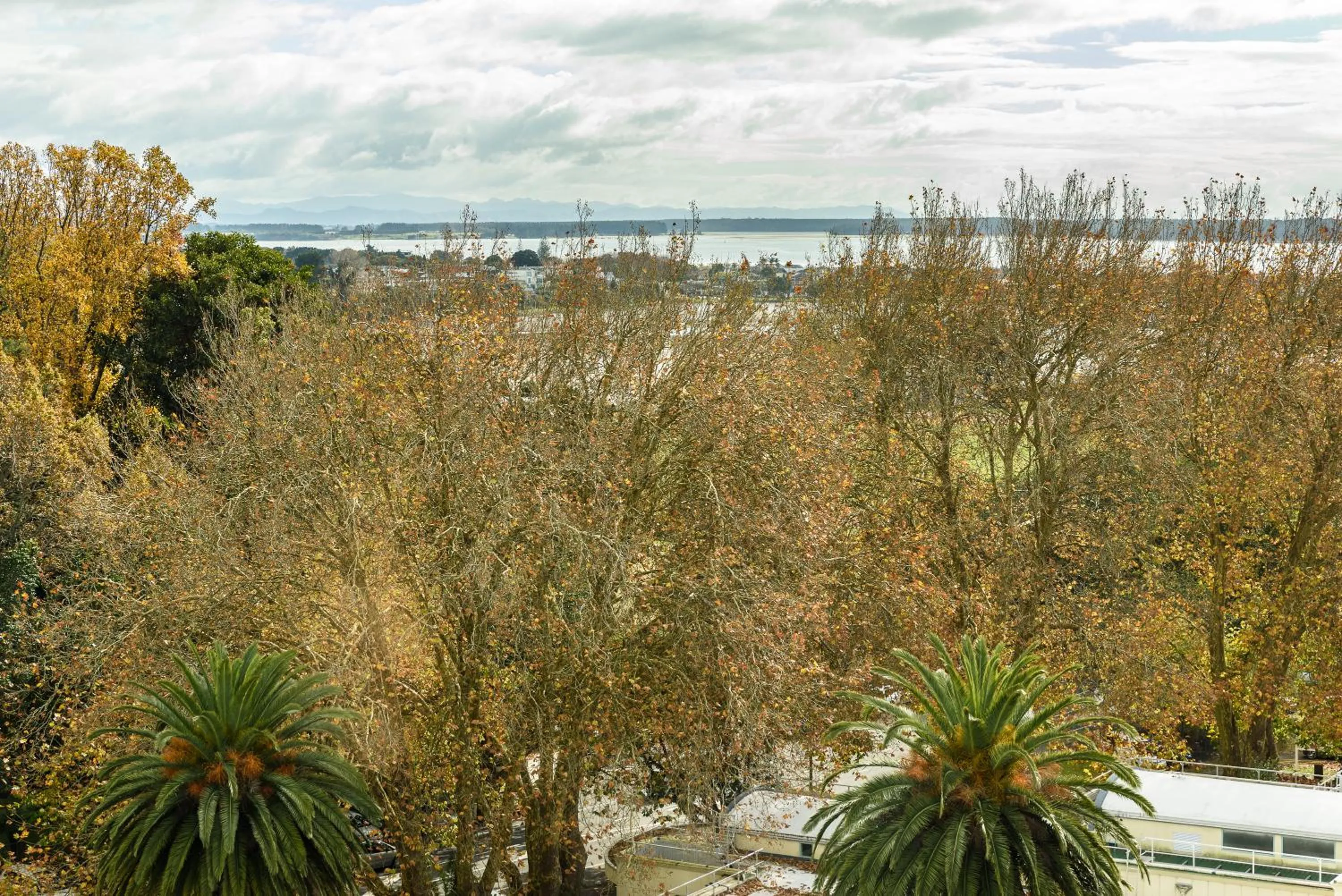 View (from property/room) in Top Of The Town Bed & Breakfast