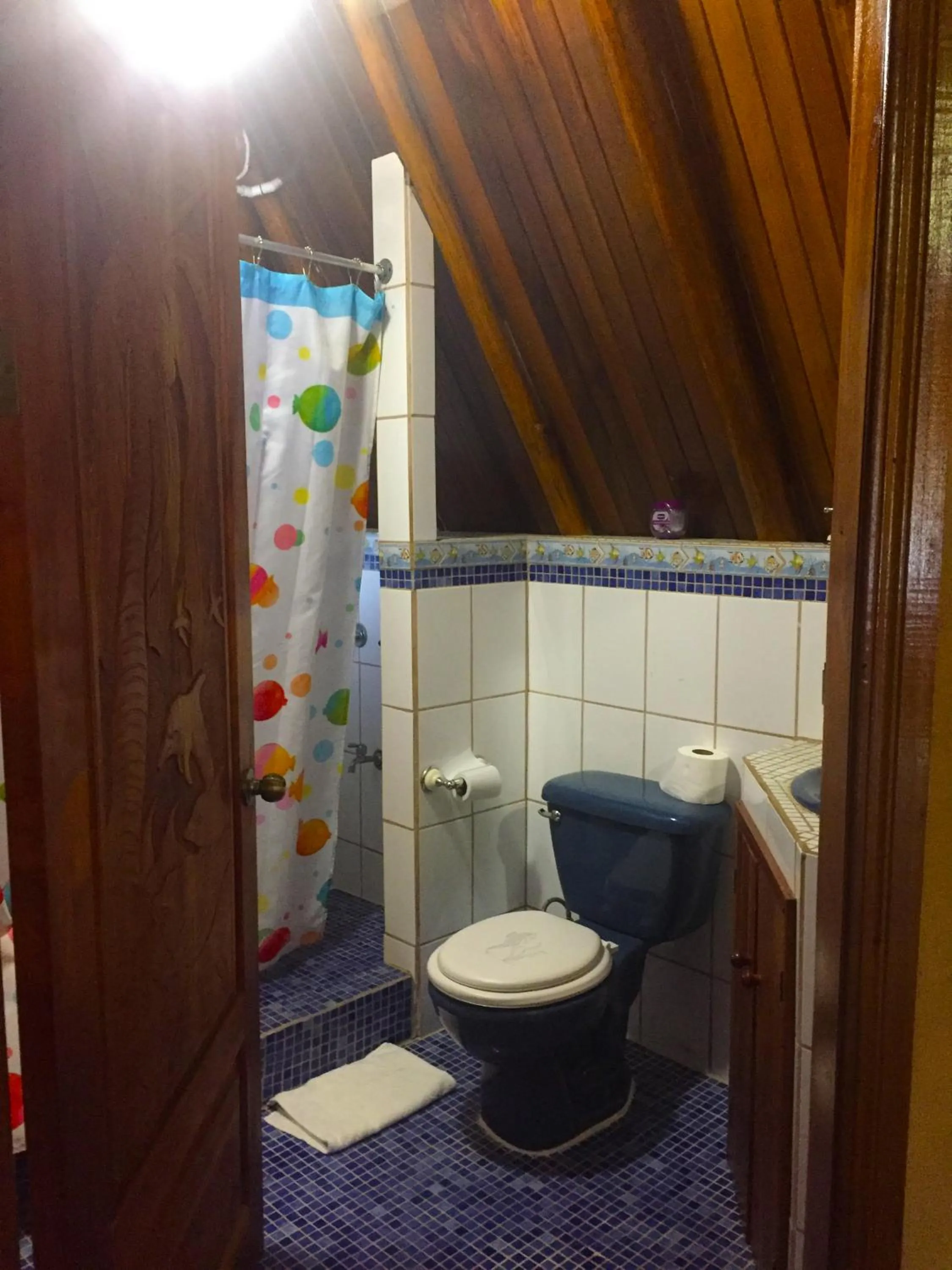 Shower in Cabinas Jimenez