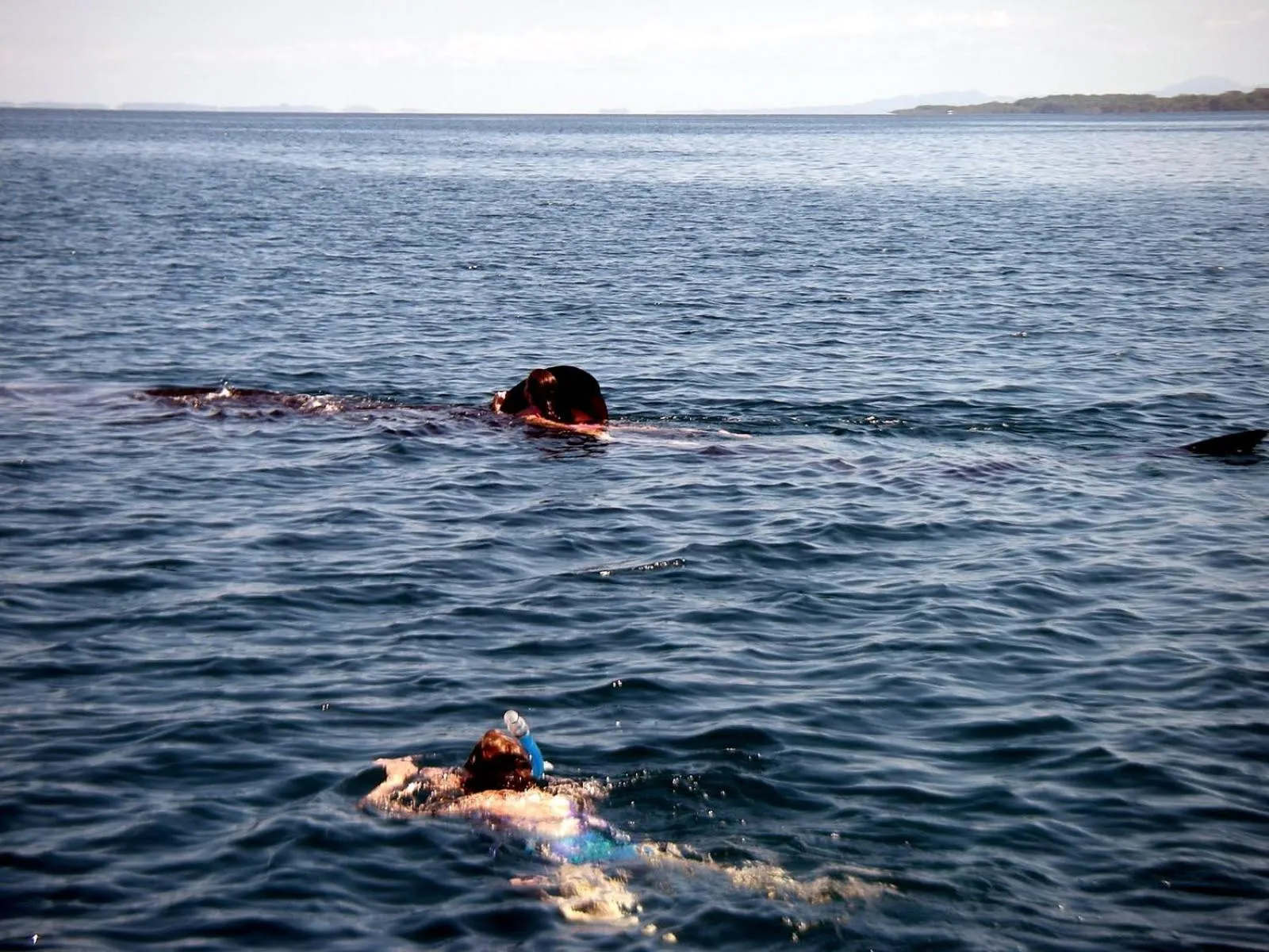 Other in Cabinas Jimenez