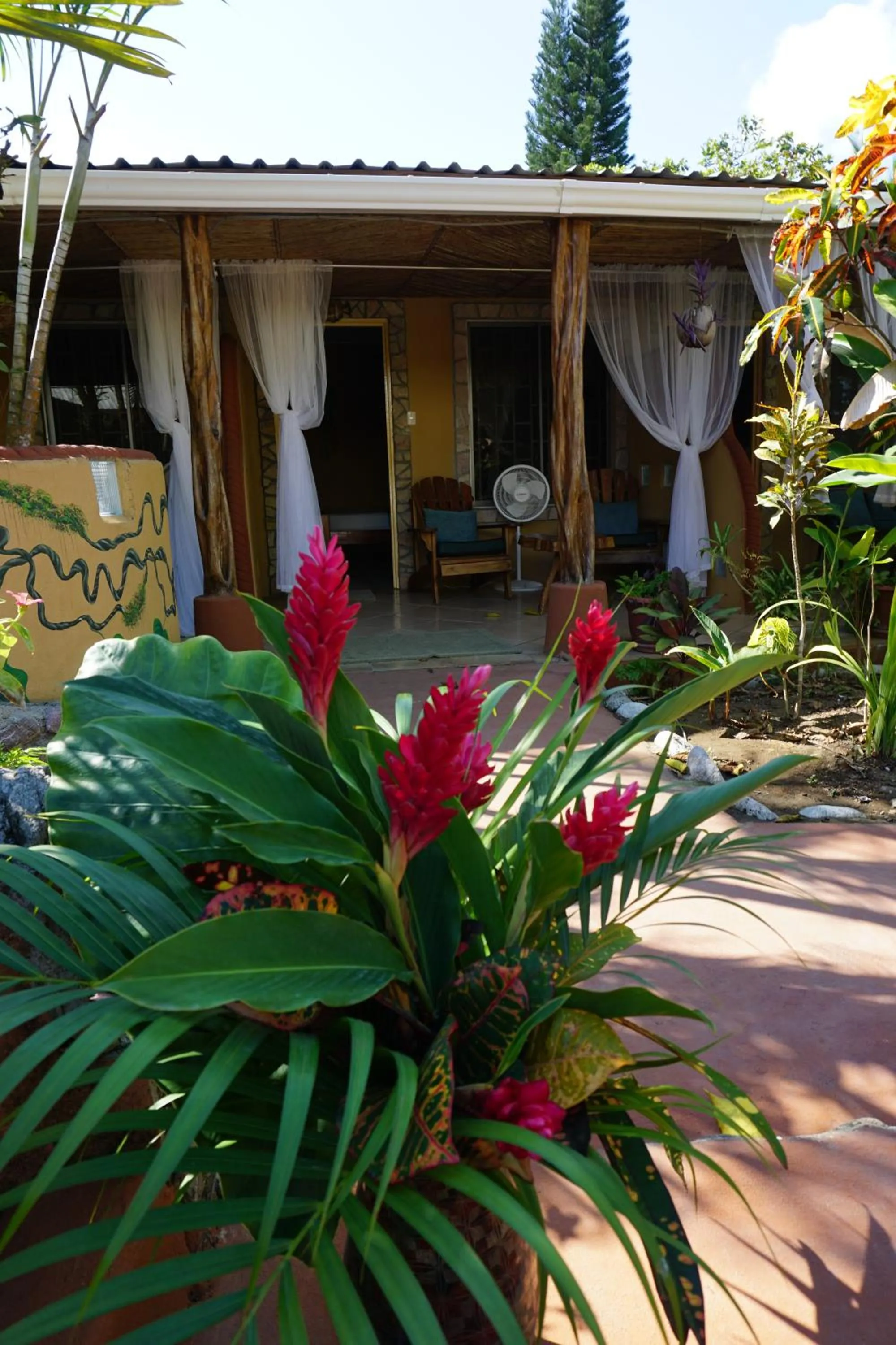 Area and facilities in Cabinas Jimenez