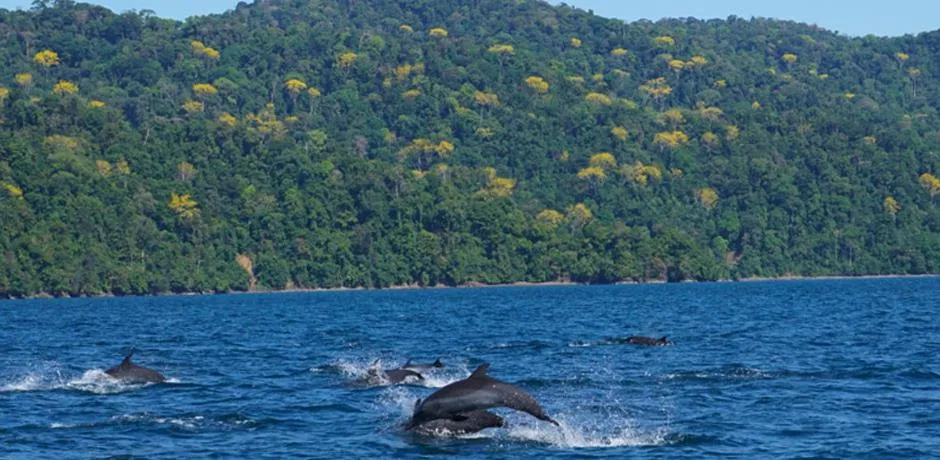 Property building in Cabinas Jimenez