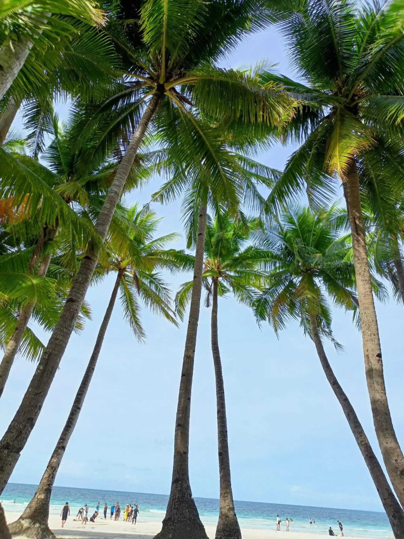 Casita Isla Beach Inn