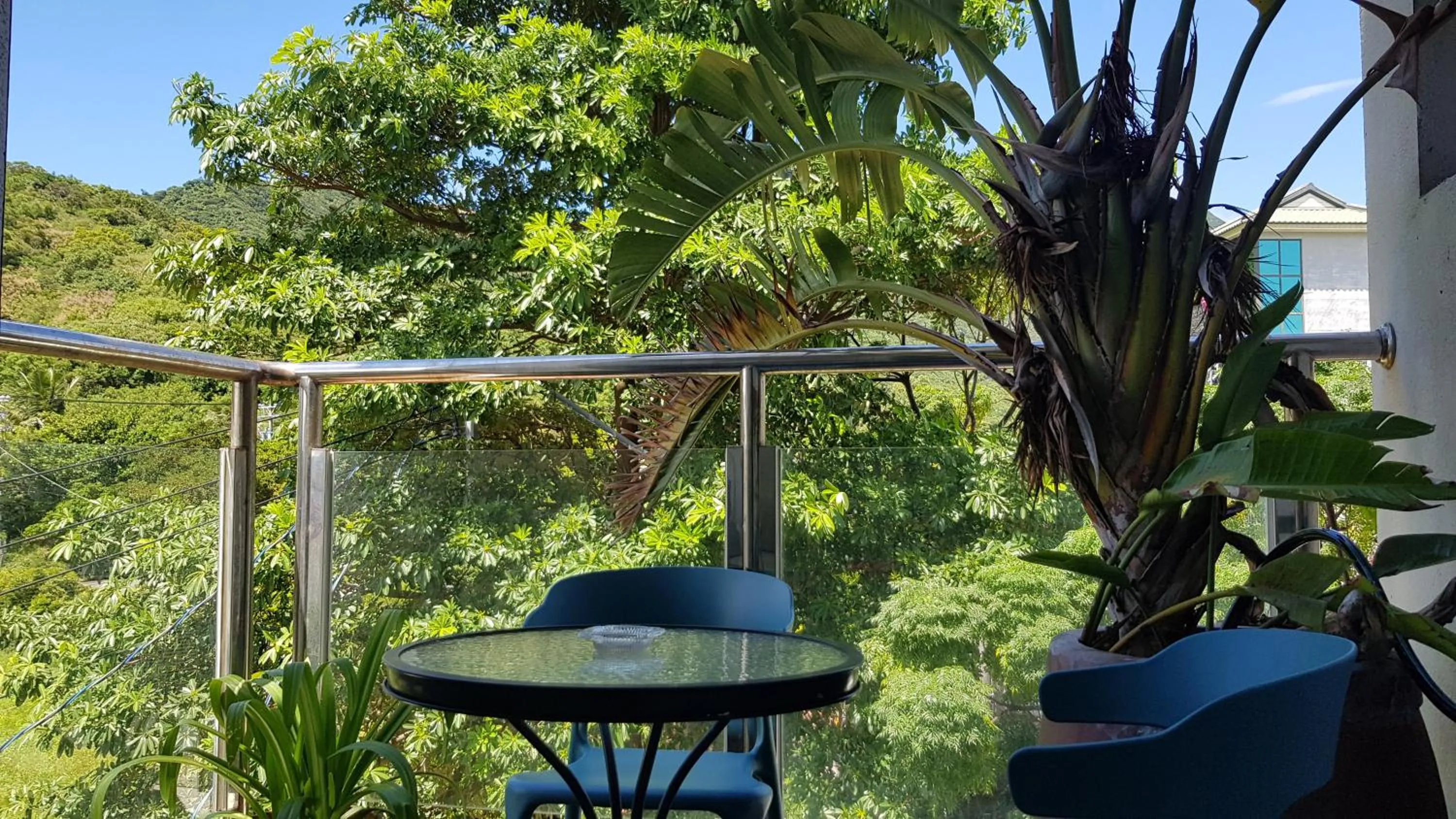 Balcony/Terrace in View Mountain B&B