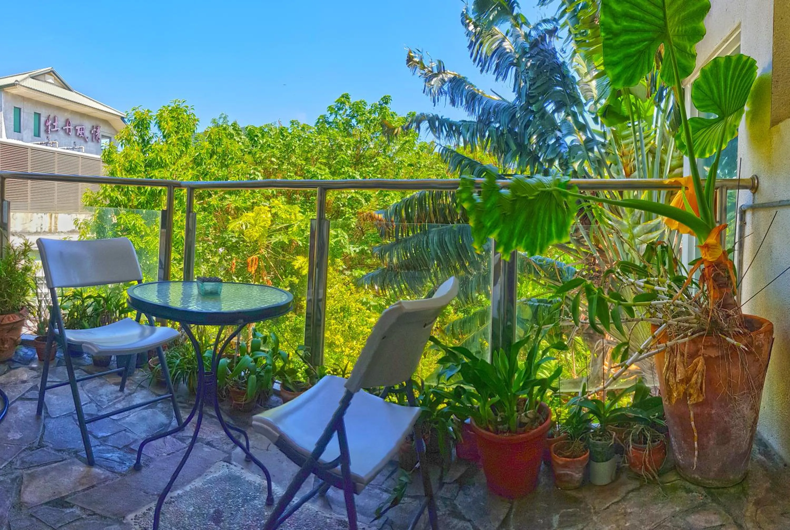 Balcony/Terrace in View Mountain B&B