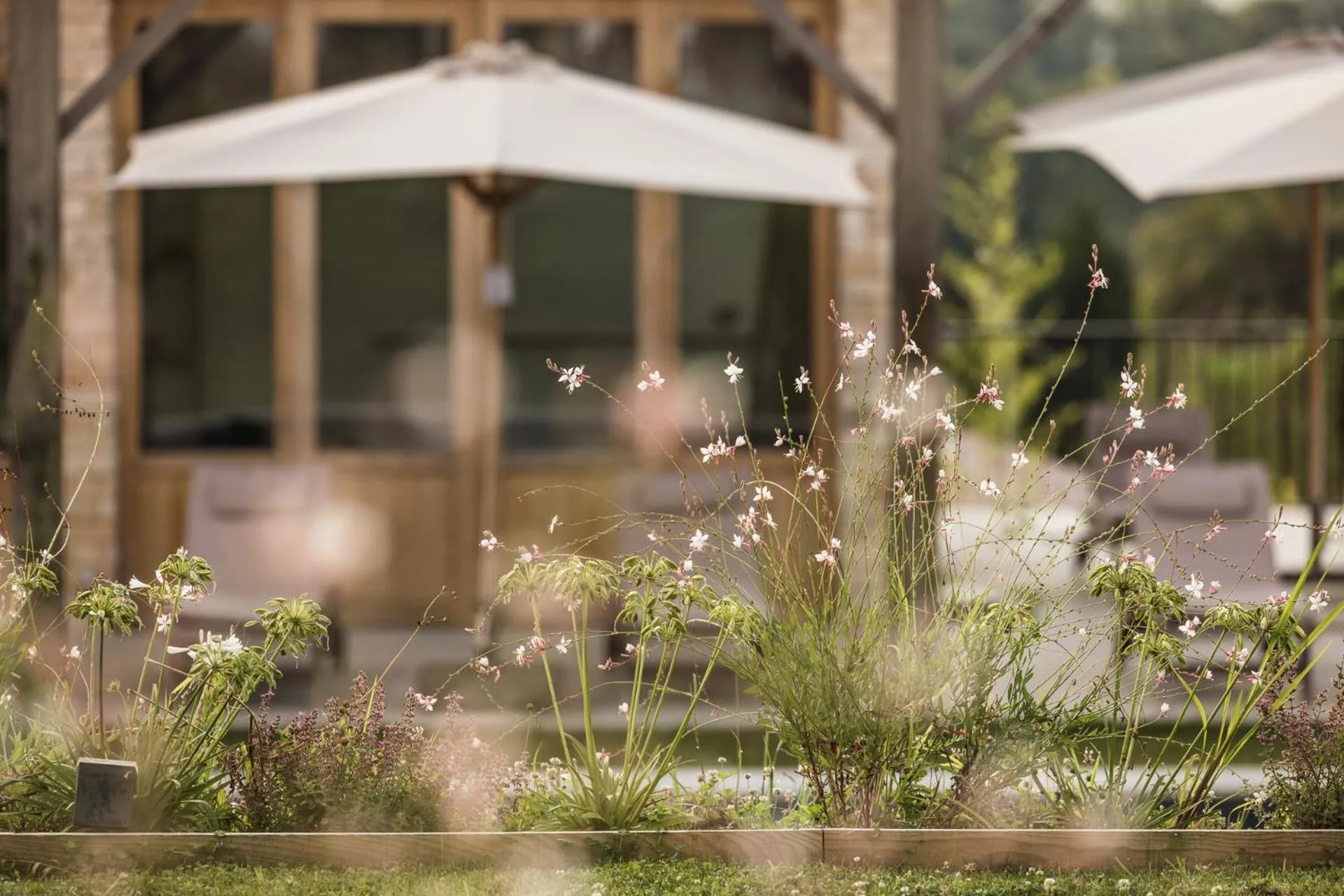 Spring in Hôtel INDARRA & SPA - Piscine