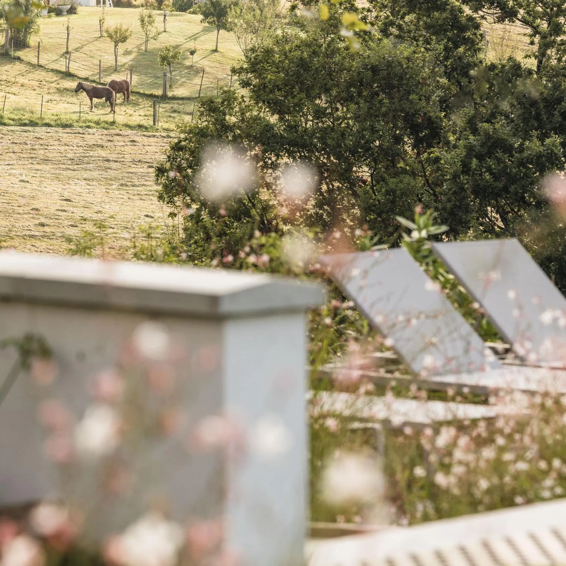 Off site in Hôtel INDARRA & SPA - Piscine