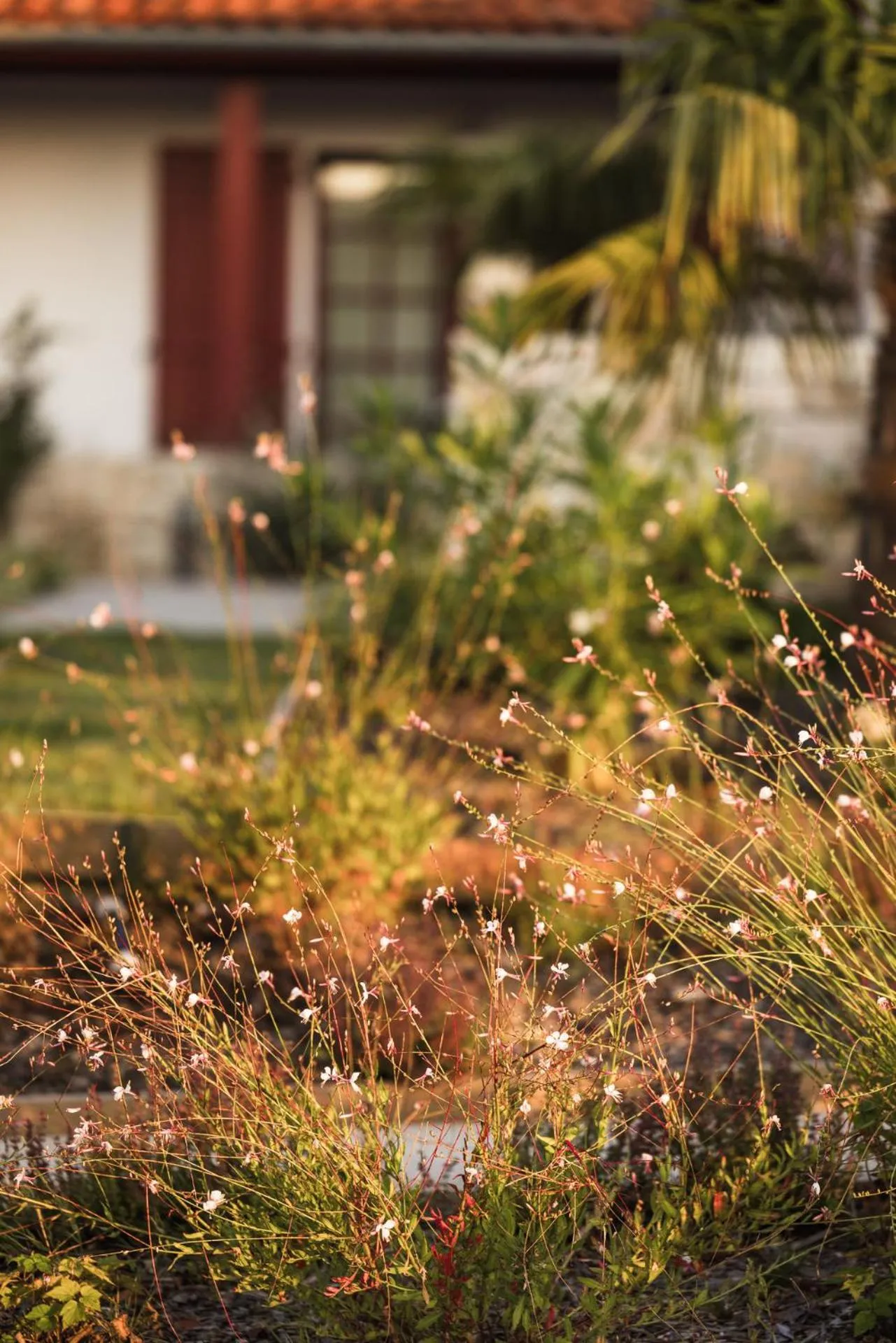 Spring in Hôtel INDARRA & SPA - Piscine