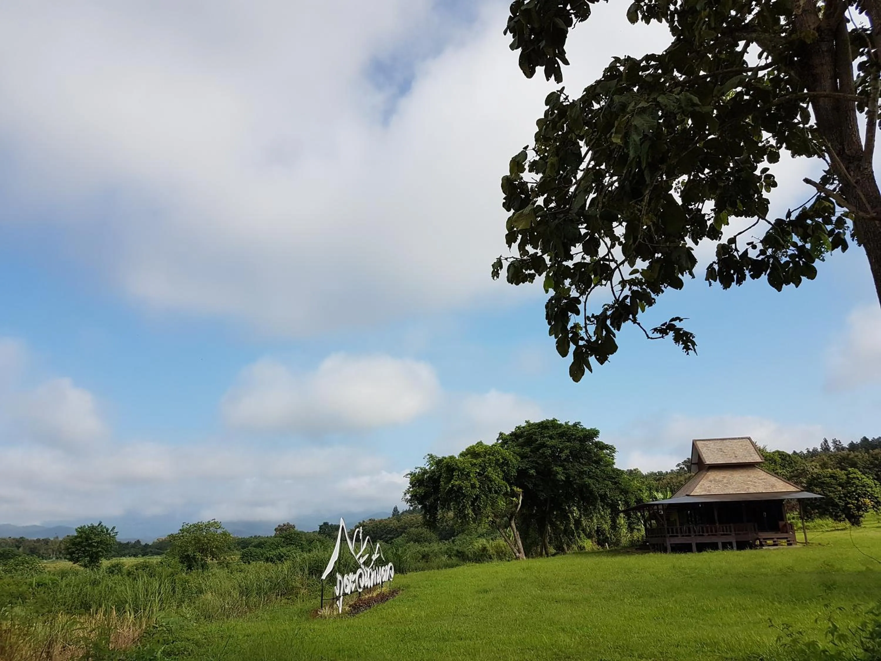 Restaurant/places to eat in Phutawan Pundao