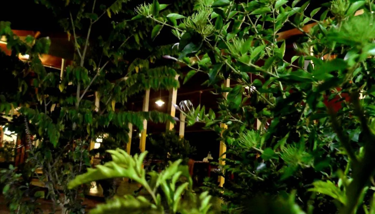 Garden in Sunntop Cabana