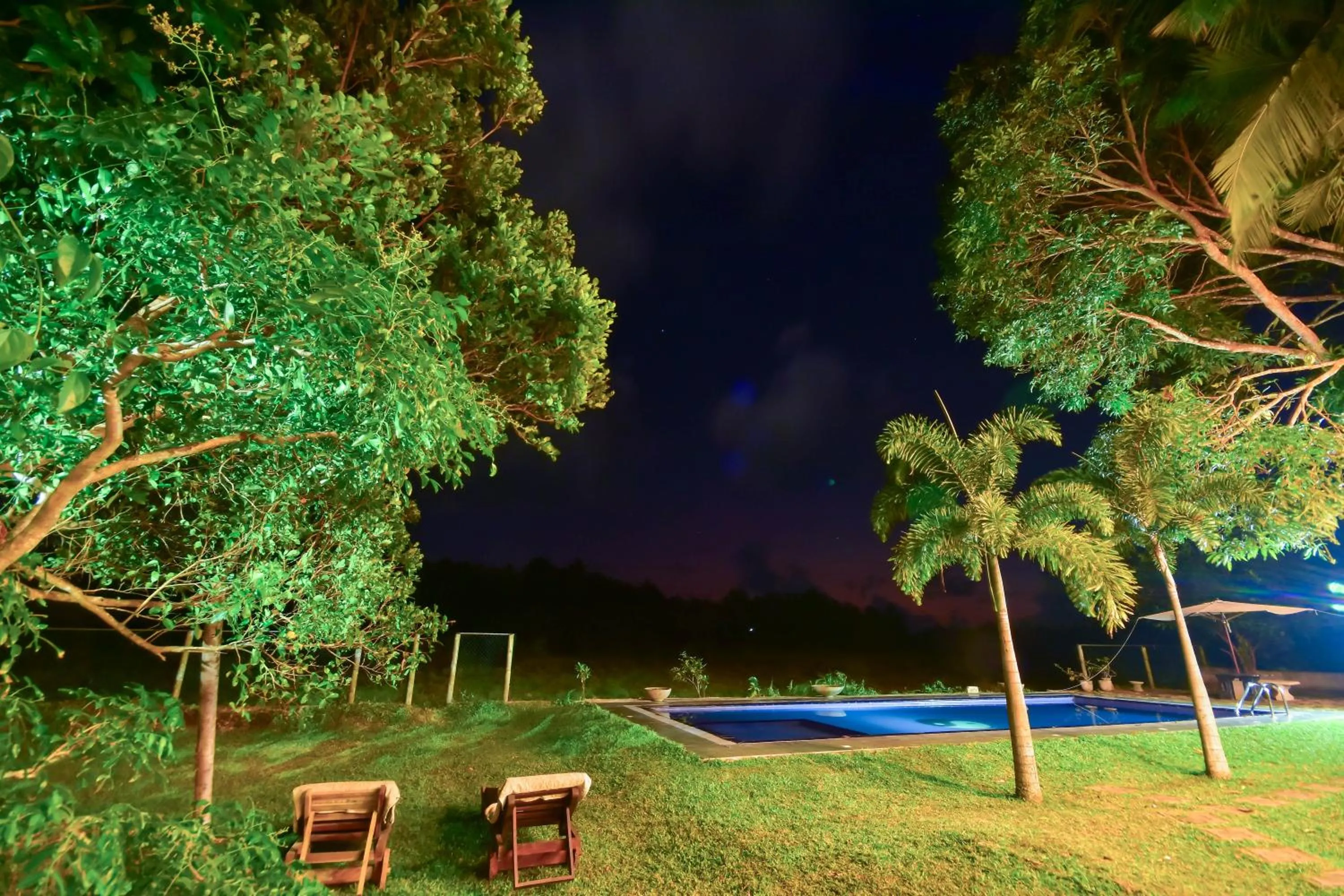 Garden view in Jungle Villa - Induruwa