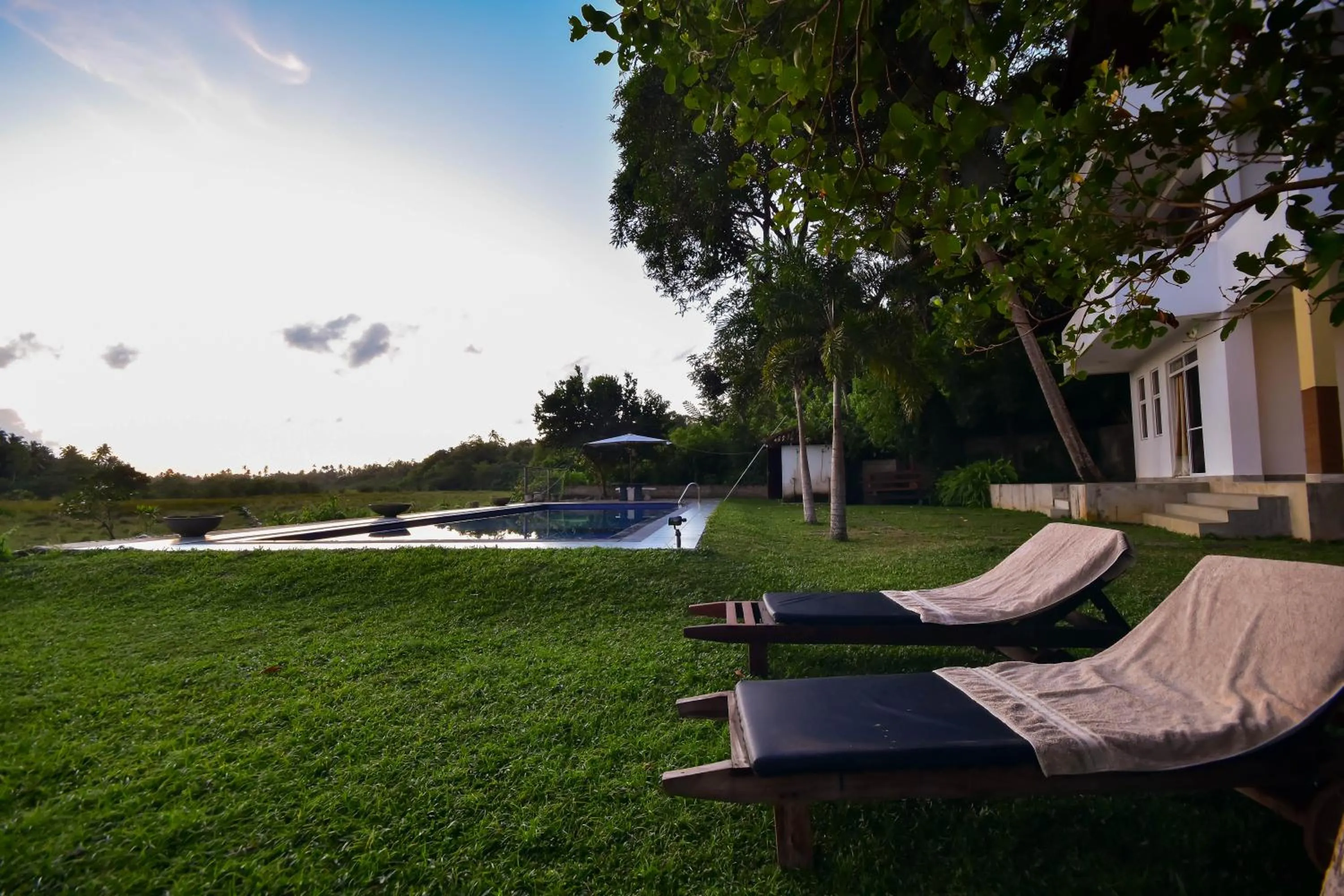 Garden view in Jungle Villa - Induruwa