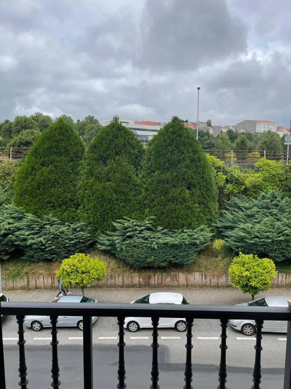 Garden in Pensión Capital de Galicia