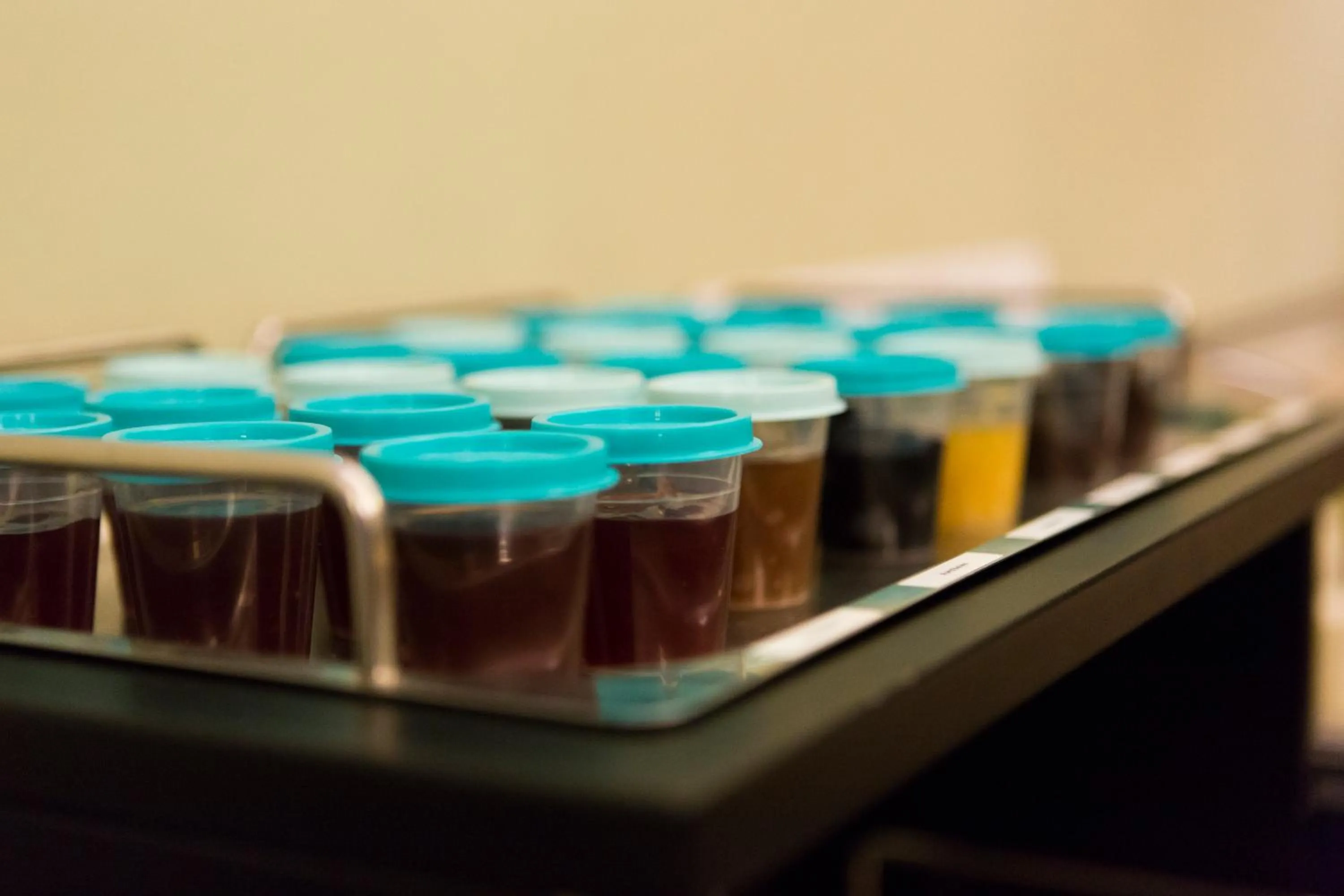 Breakfast in B&B Hoeve de Schapenkop