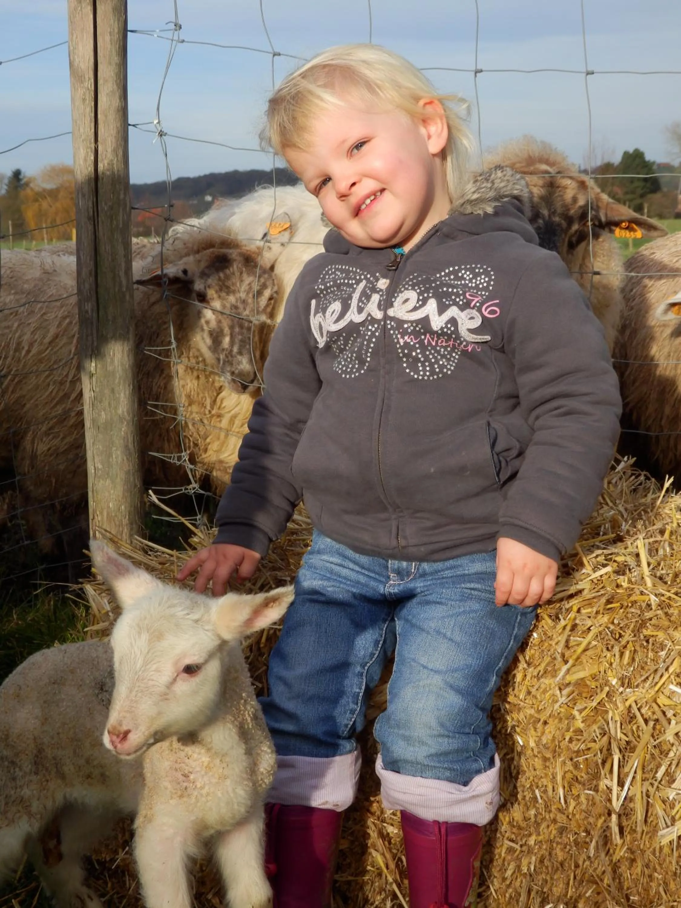 Garden in B&B Hoeve de Schapenkop