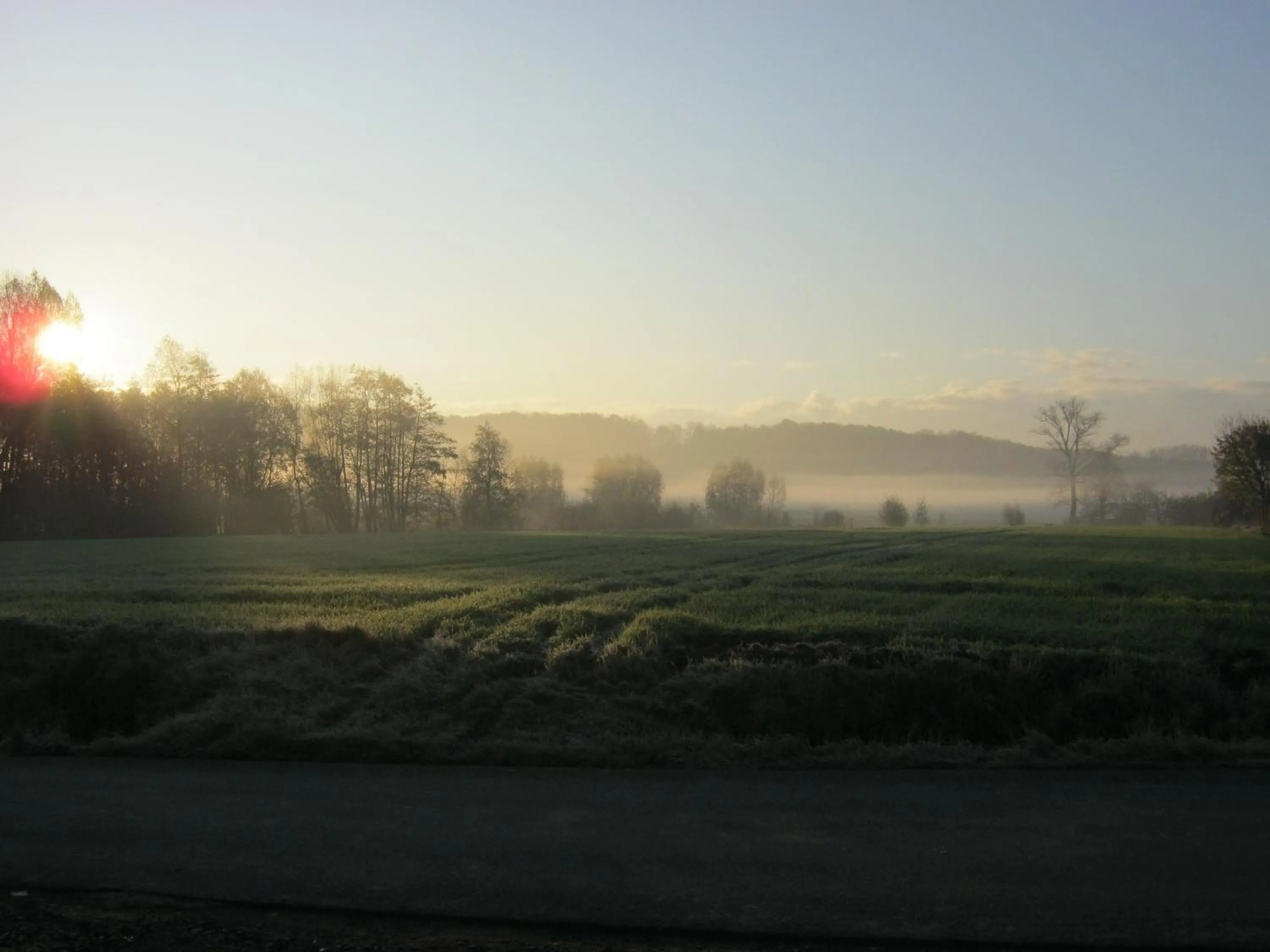View (from property/room) in B&B Hoeve de Schapenkop