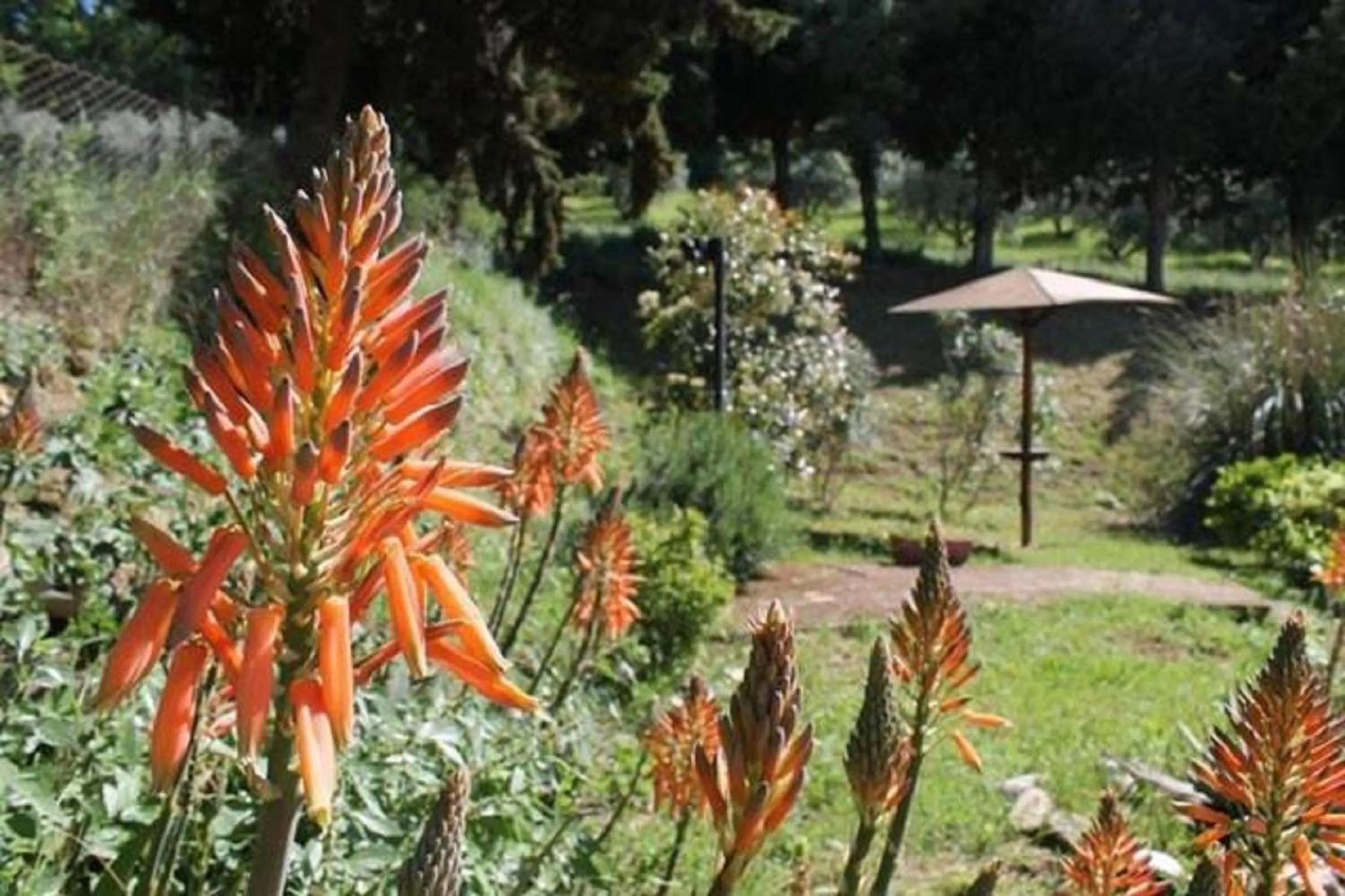 Garden in Tierra Cristiana