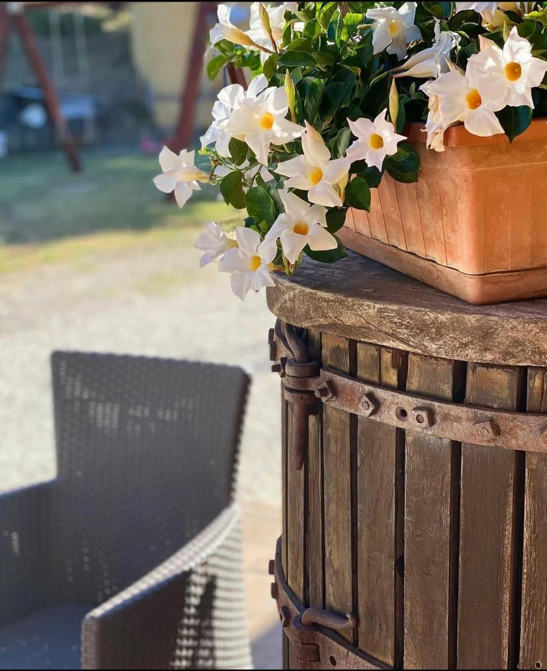 Spring in Tierra Cristiana