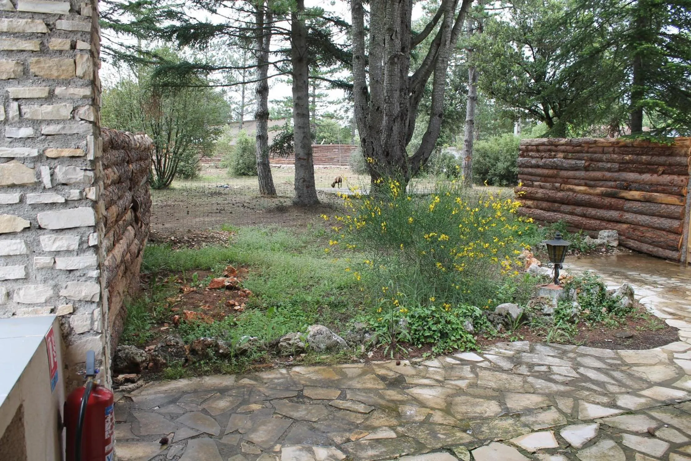 Garden in L'hôtel du Bastier