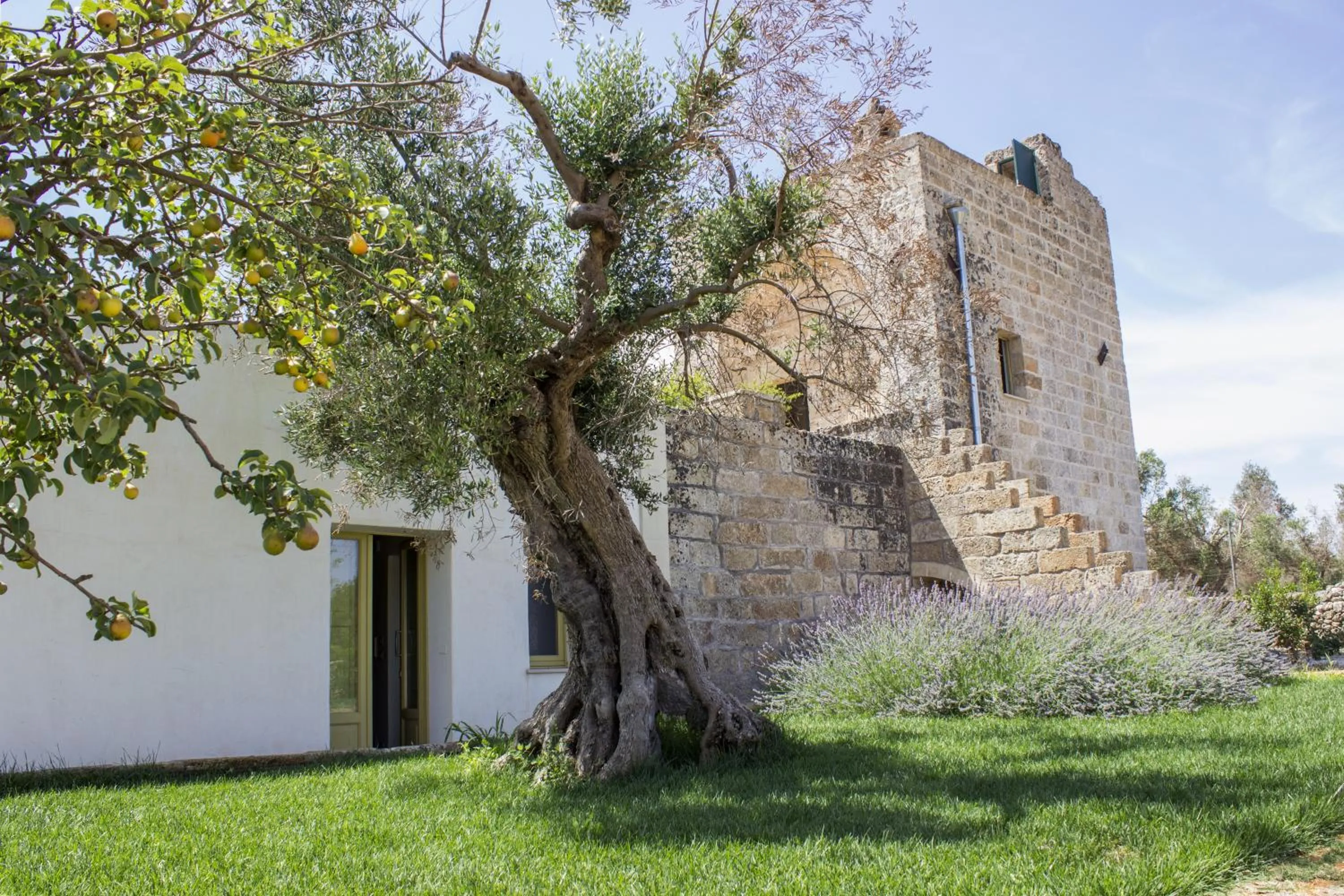 Casina Spiggiano Agriturismo