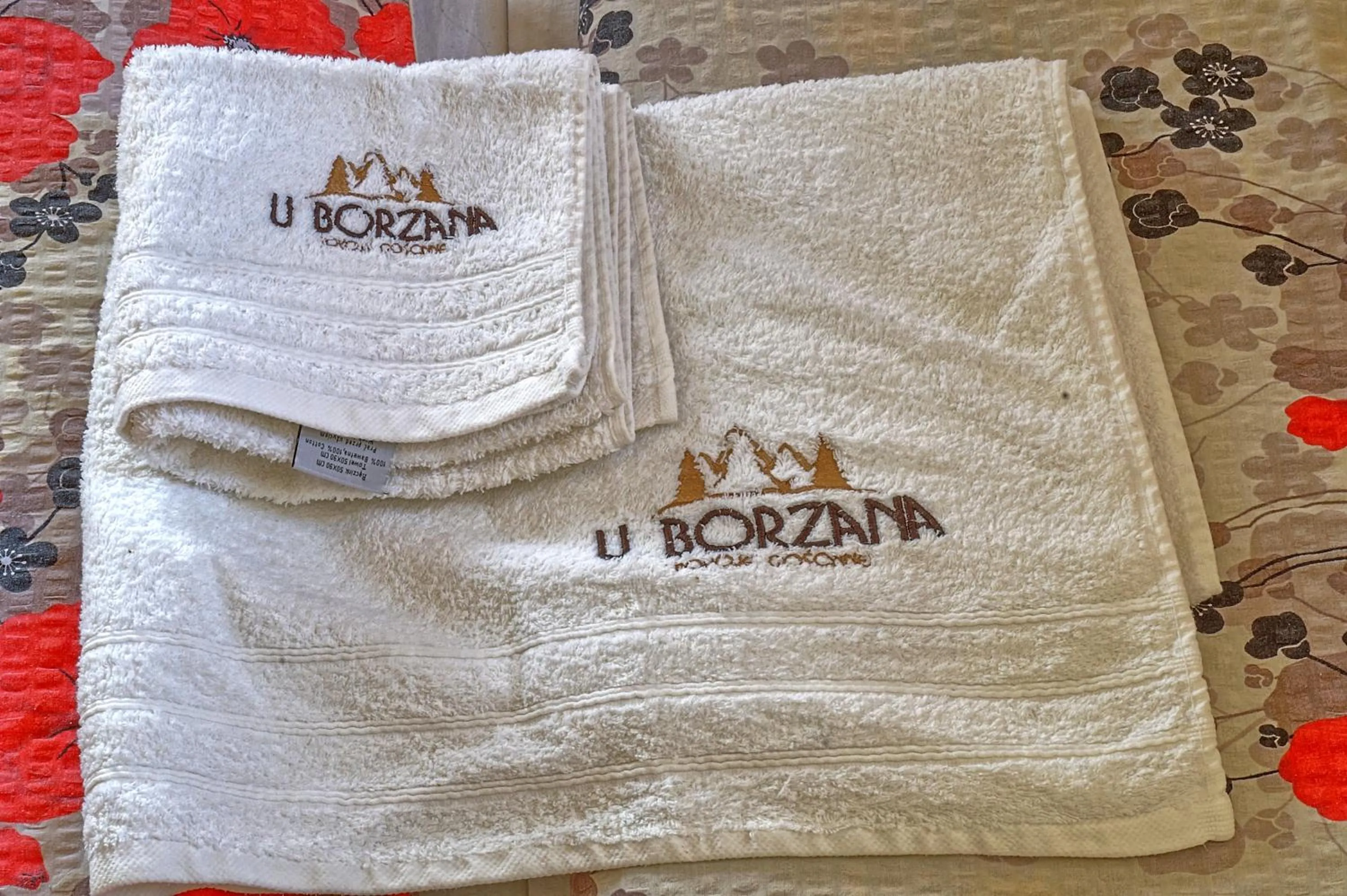 Decorative detail in Pokoje u Borzana