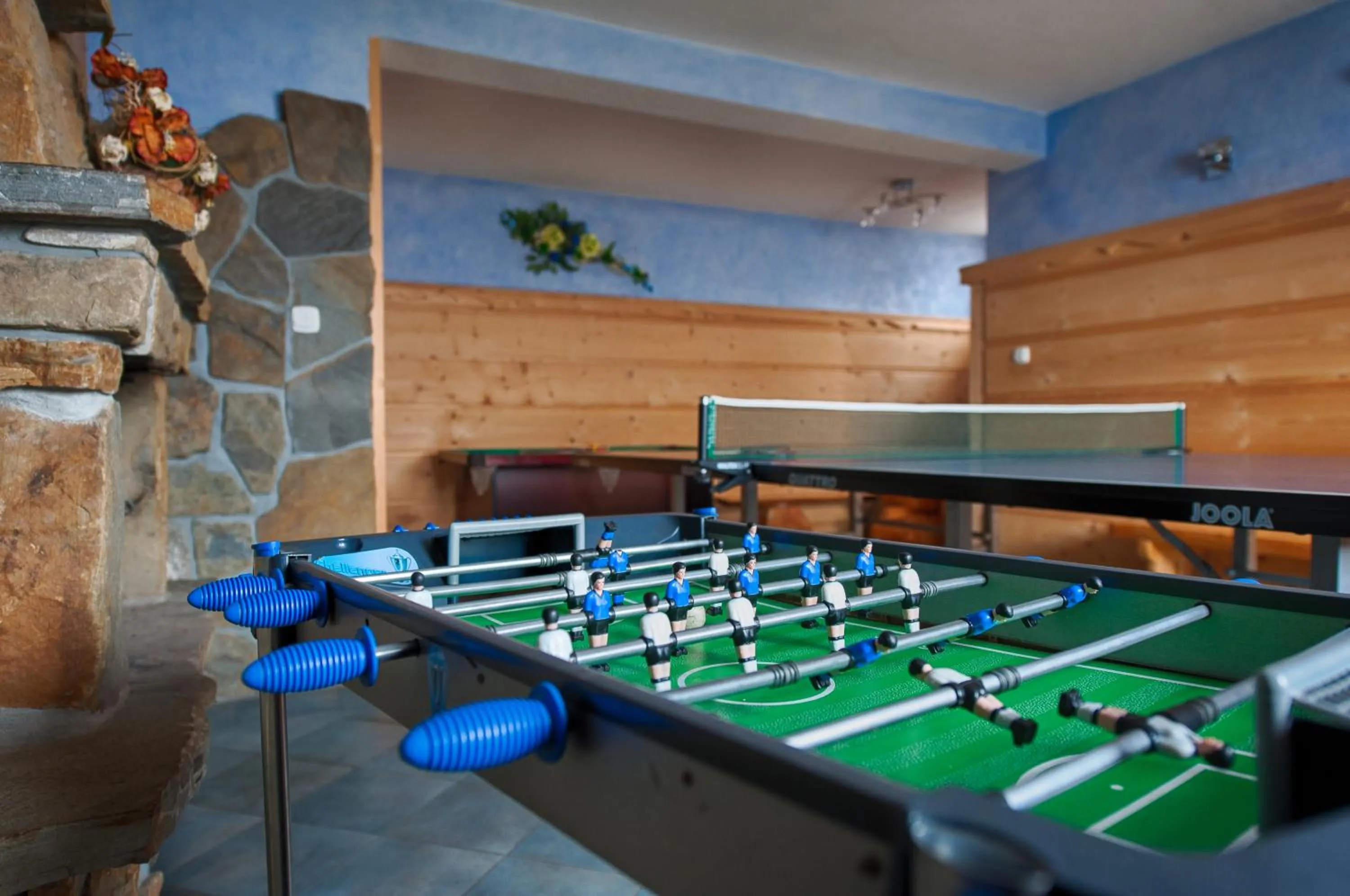 Activities in Pokoje u Borzana