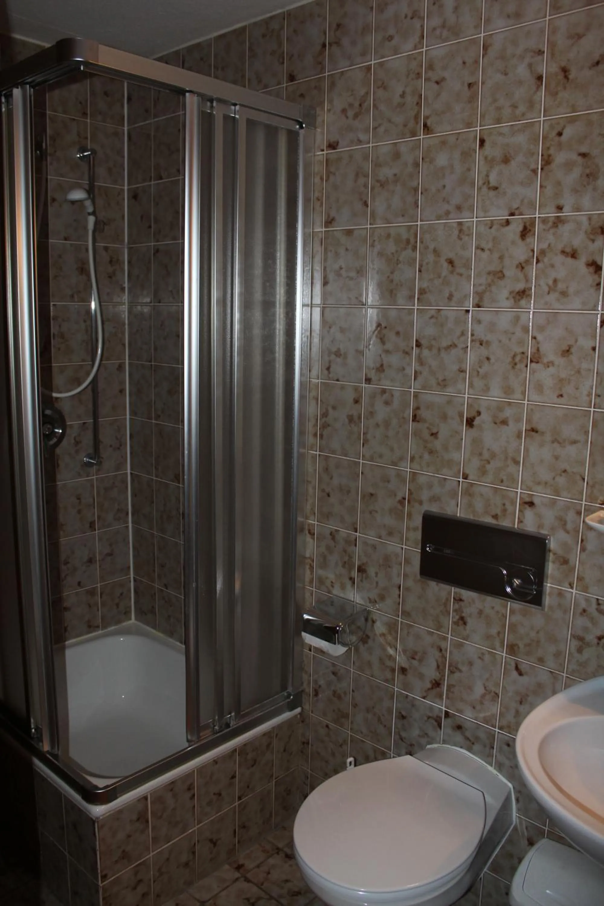 Shower in Gasthaus Mösle