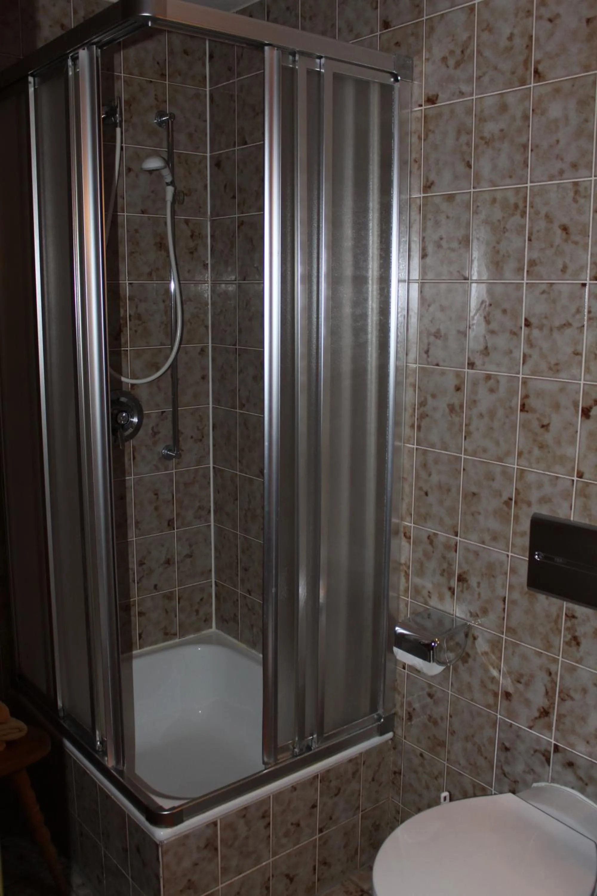 Shower in Gasthaus Mösle