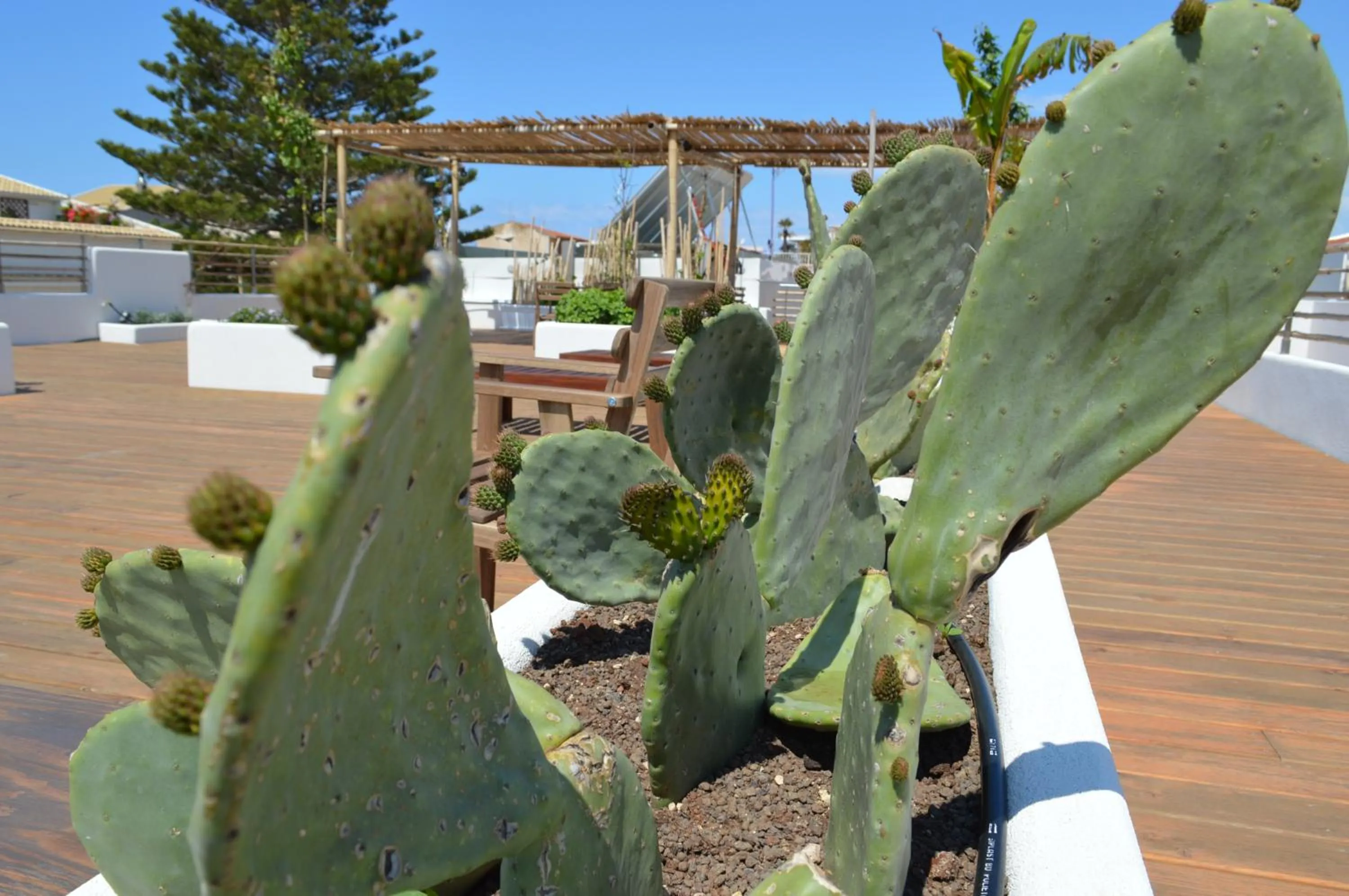 Sempreverde Atelier B&B