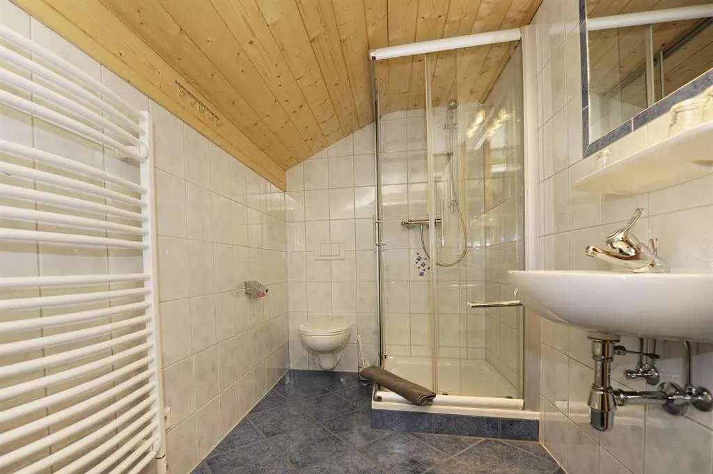 Shower in Ferienhaus Bergfrieden