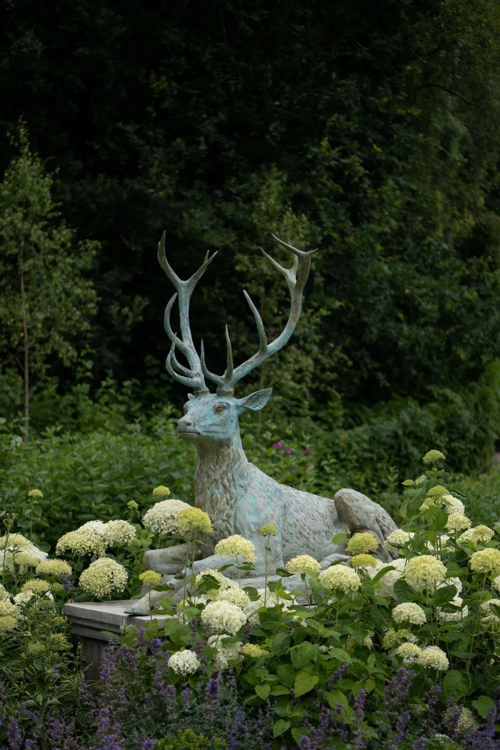 Property building in Cabra Castle Hotel