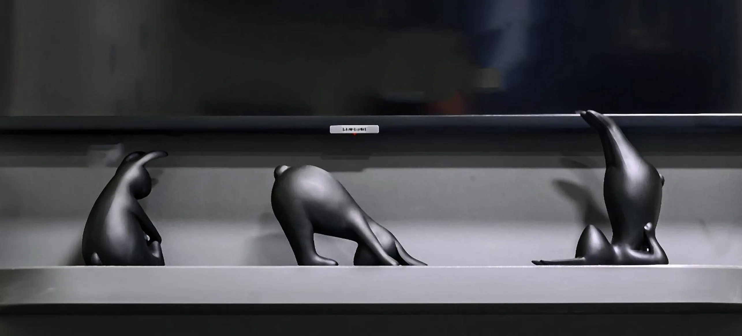 Fitness centre/facilities in Villa Nani