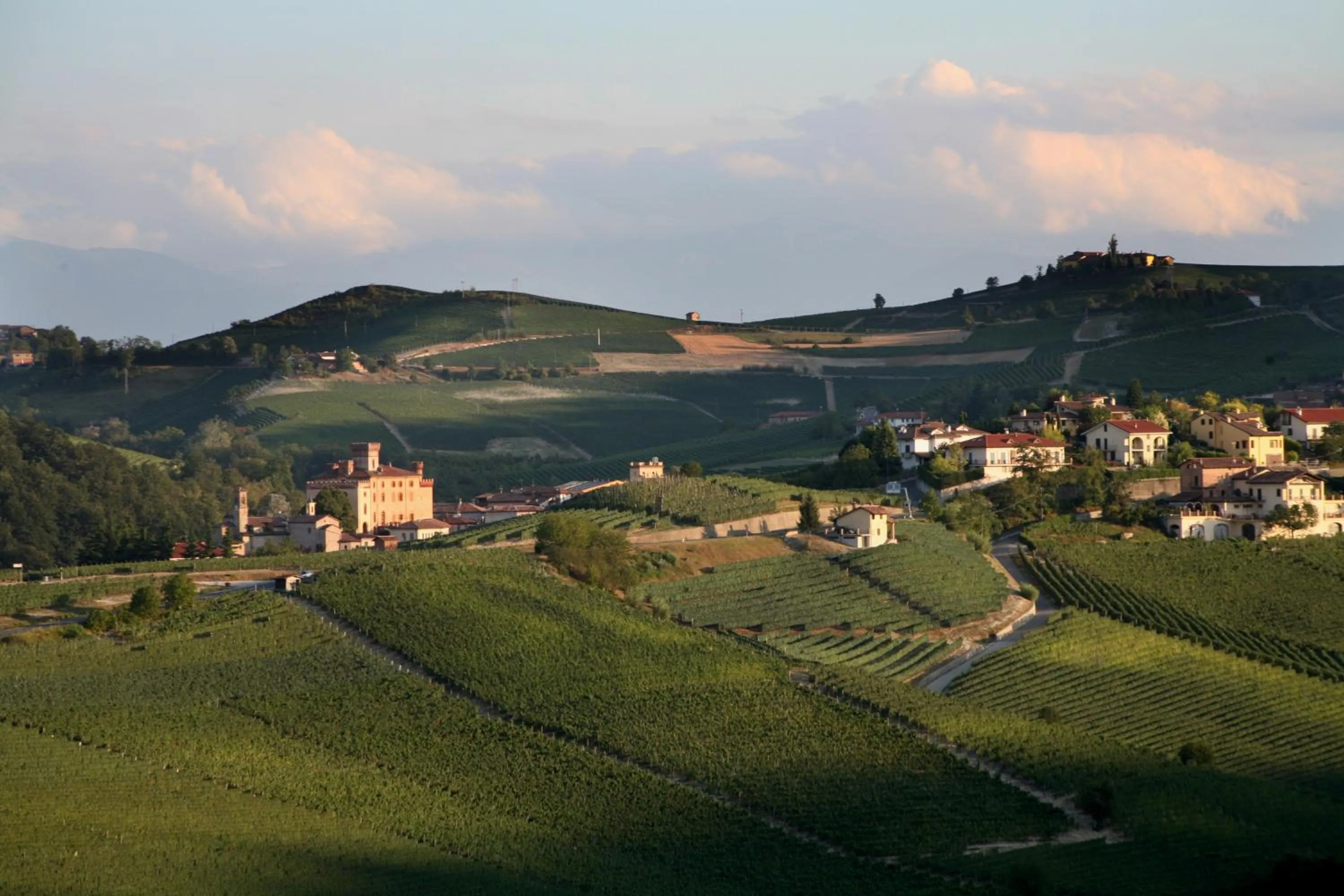 Natural landscape in Hotel Barolo