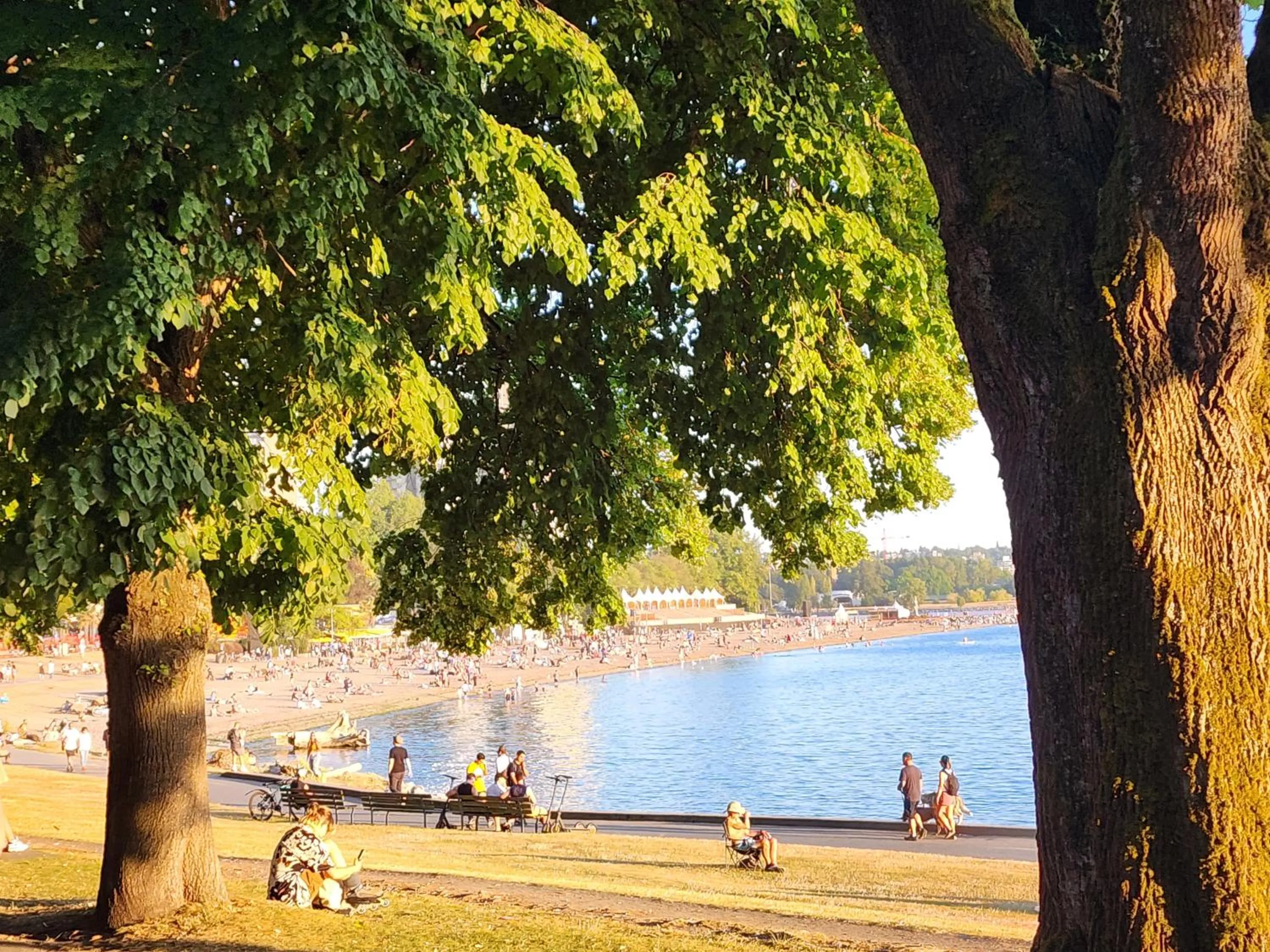 Beach in Times Square Suites Hotel