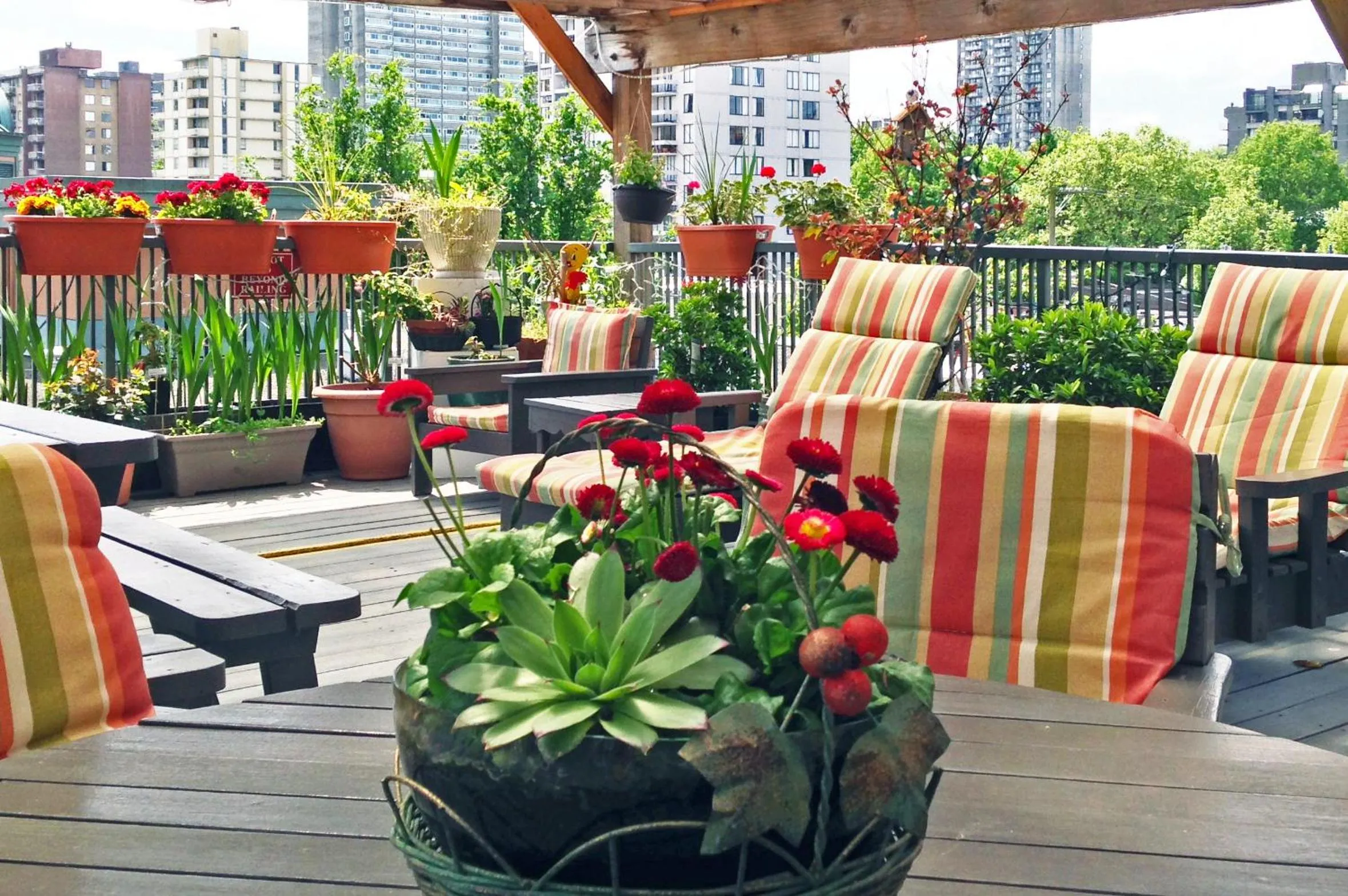 Balcony/Terrace in Times Square Suites Hotel